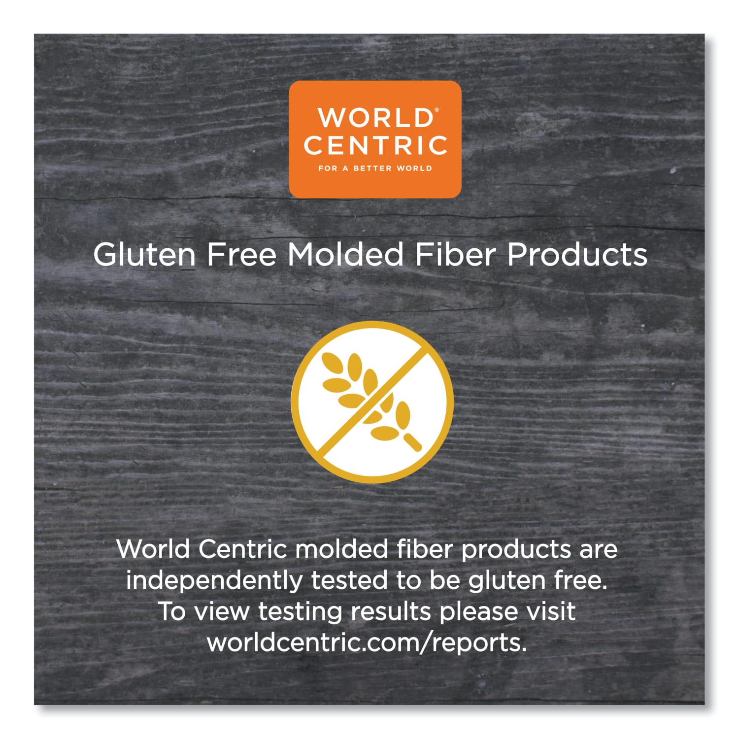 World Centric Fiber Lids for Fiber Containers, 7.8 x 10.1 x 0.5, Natural, Paper, 400/Carton - Image 6