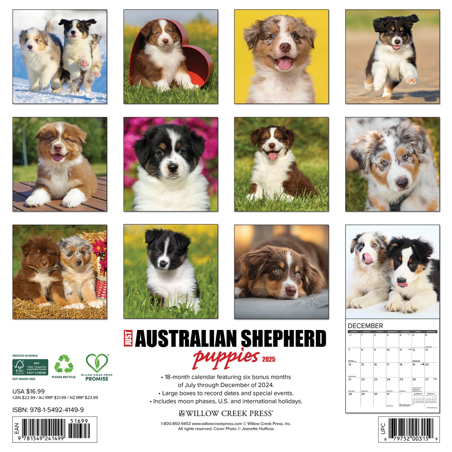 2025 Willow Creek Press Monthly Wall Calendar, 12in x 12in, Australian Shepherd Puppies, January 2025 to December 2025, 41499 - Image 6