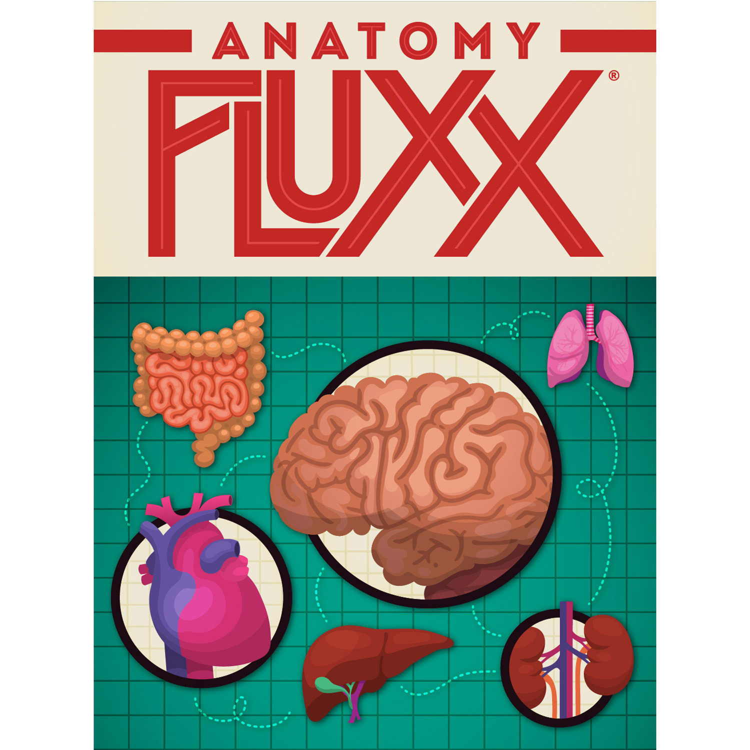 Looney Labs Anatomy Fluxx Card Game - Image 6