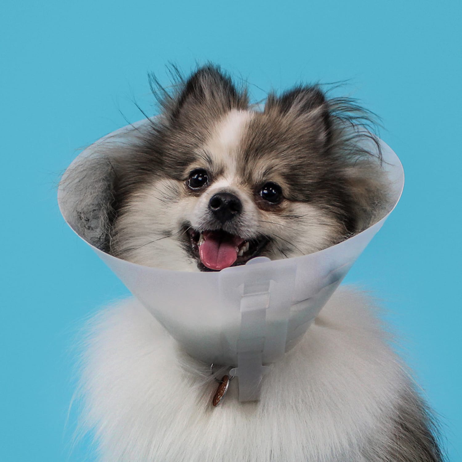 KVP Betsy E-Collar, 15cm, Opaque - Image 3