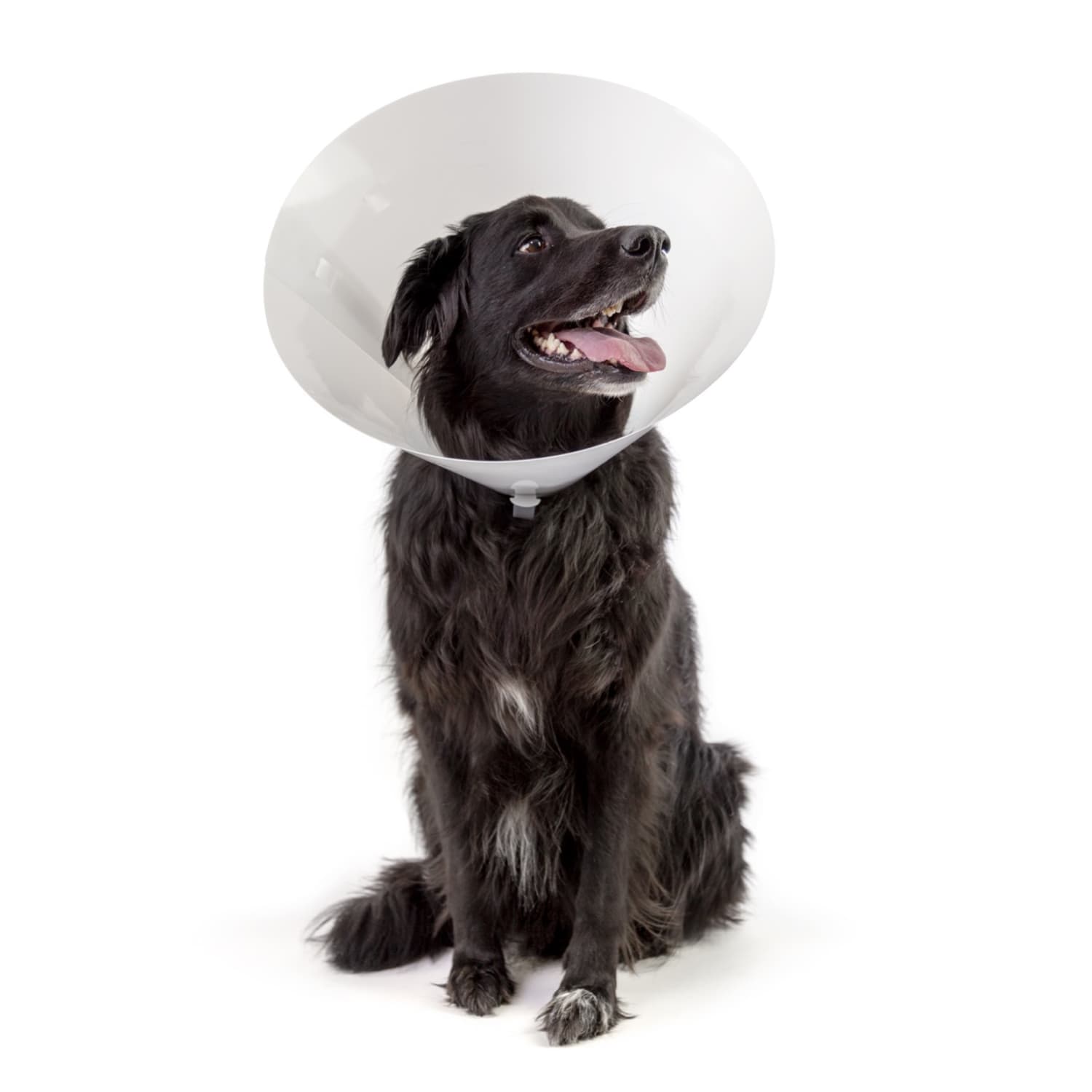KVP Betsy E-Collar, 15cm, Opaque - Image 4