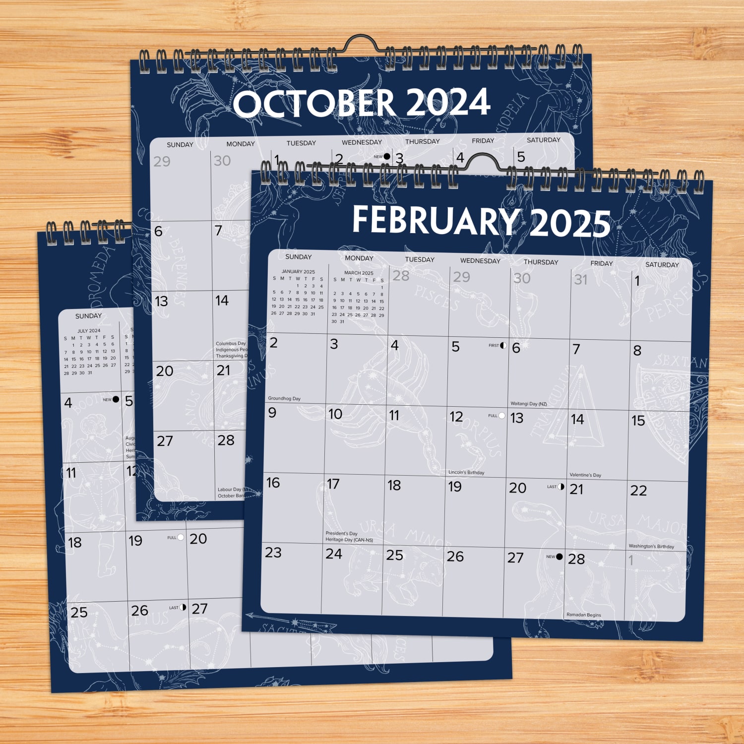 2025 Willow Creek Press Spiral Art Monthly Wall Calendar, 12in x 12in, Stargazing, January To December, 47507 - Image 3