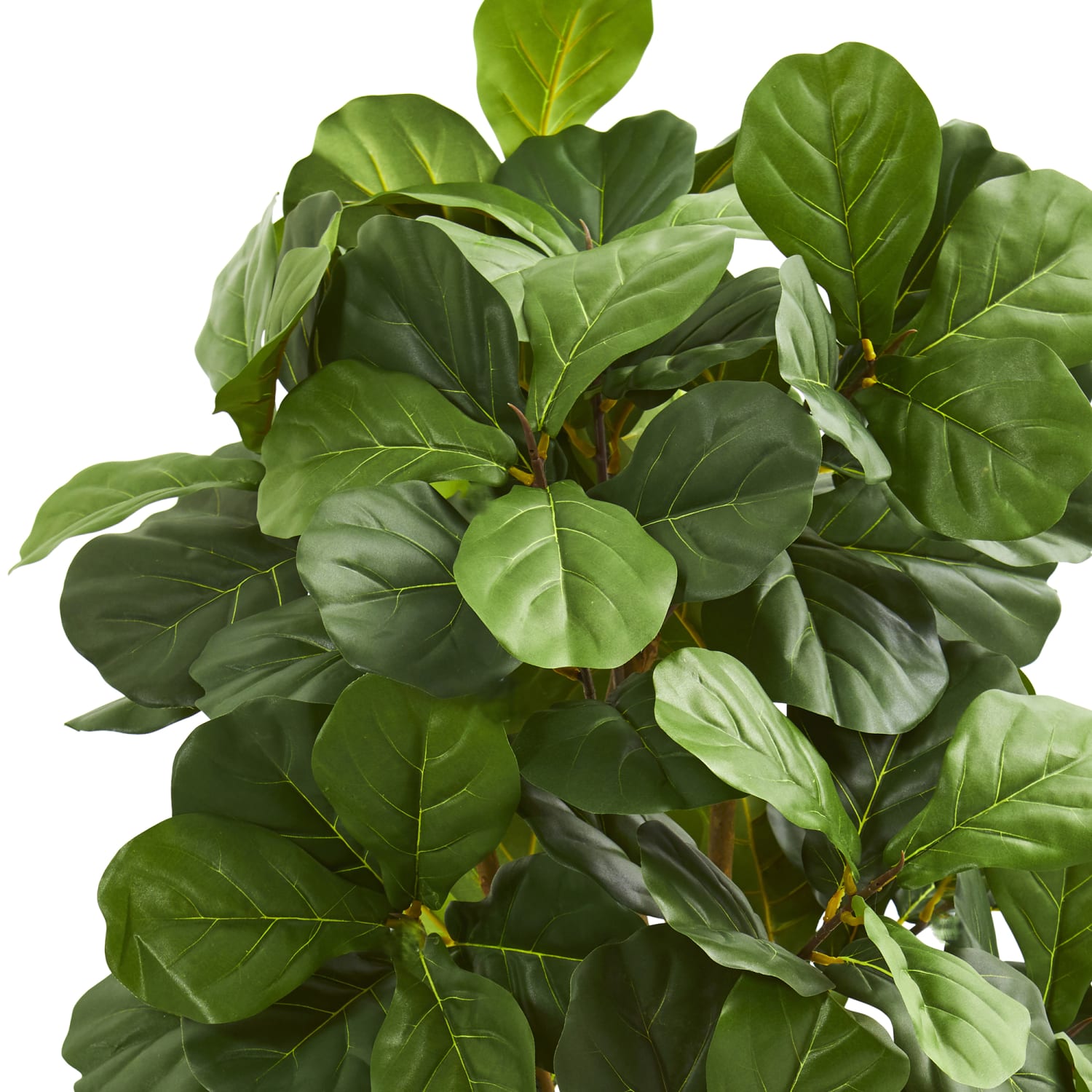 Nearly Natural Fiddle Leaf 42inH Artificial Tree With Pot, 42inH x 26inW x 24inD, Green - Image 3