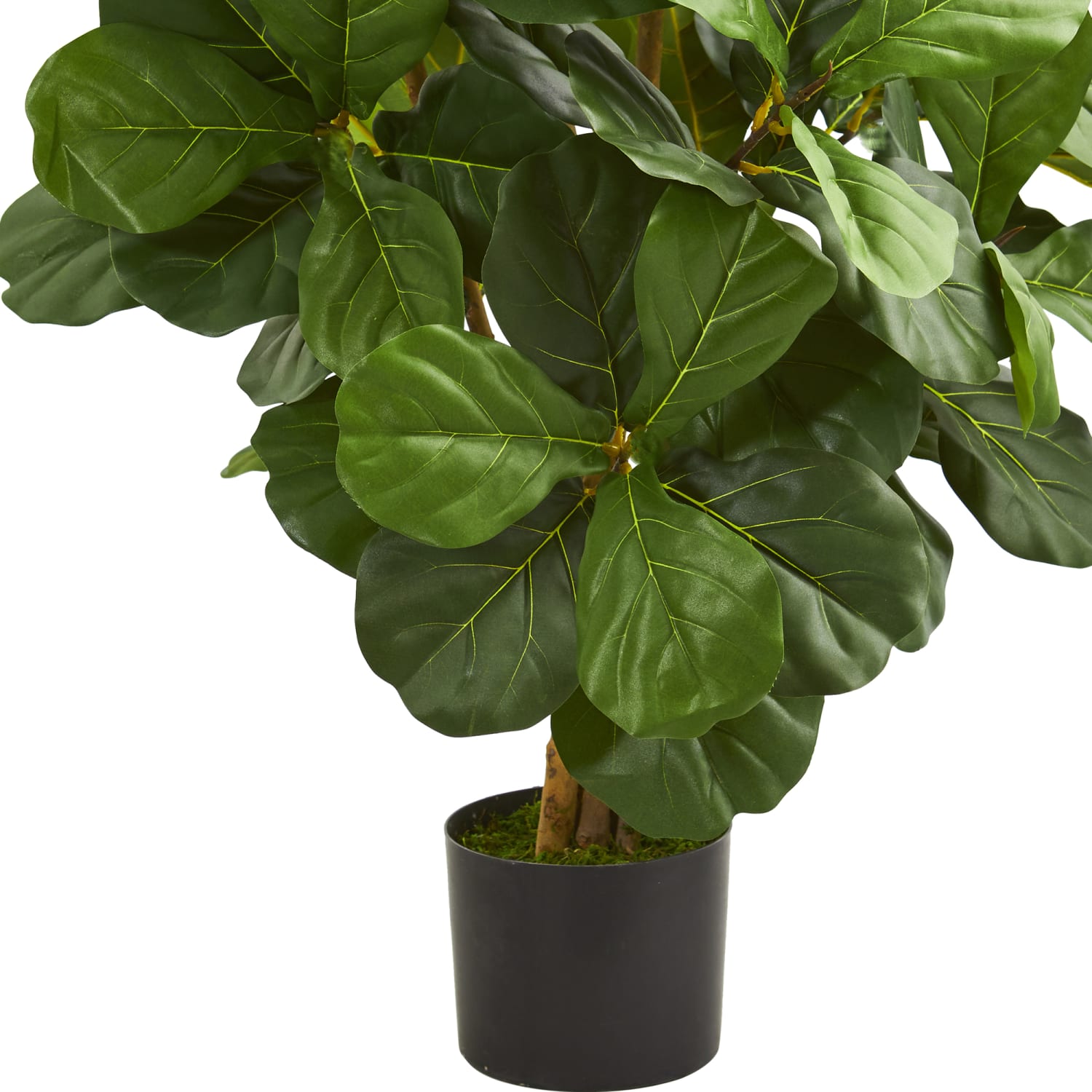 Nearly Natural Fiddle Leaf 42inH Artificial Tree With Pot, 42inH x 26inW x 24inD, Green - Image 4