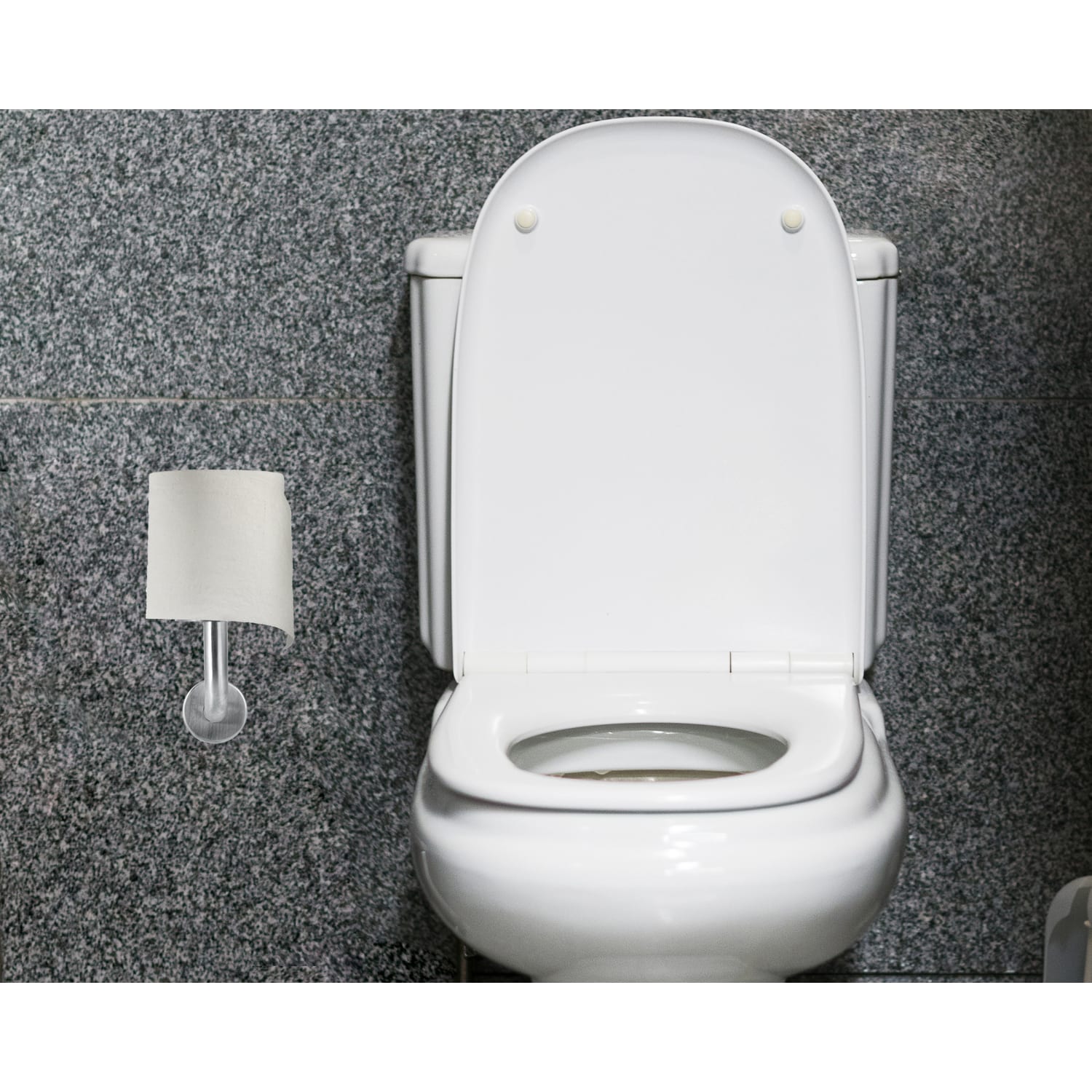 Alpine Vertical Toilet Paper Holders, 8-1/4in x 3-2/5in x 2-1/2in, Silver, Pack of 3 Holders - Image 6