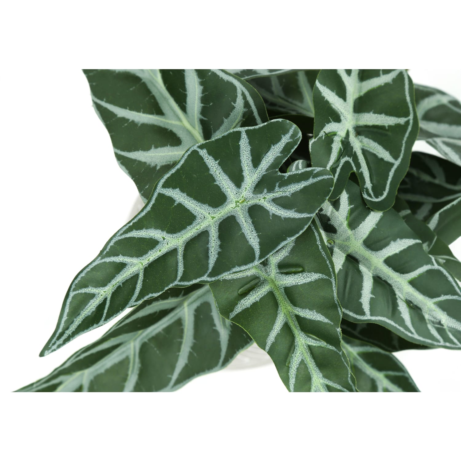 Monarch Specialties Peneloppe 8inH Artificial Plants With Pots, 8inH x 8inW x 7inD, Green, Set Of 2 Plants - Image 6