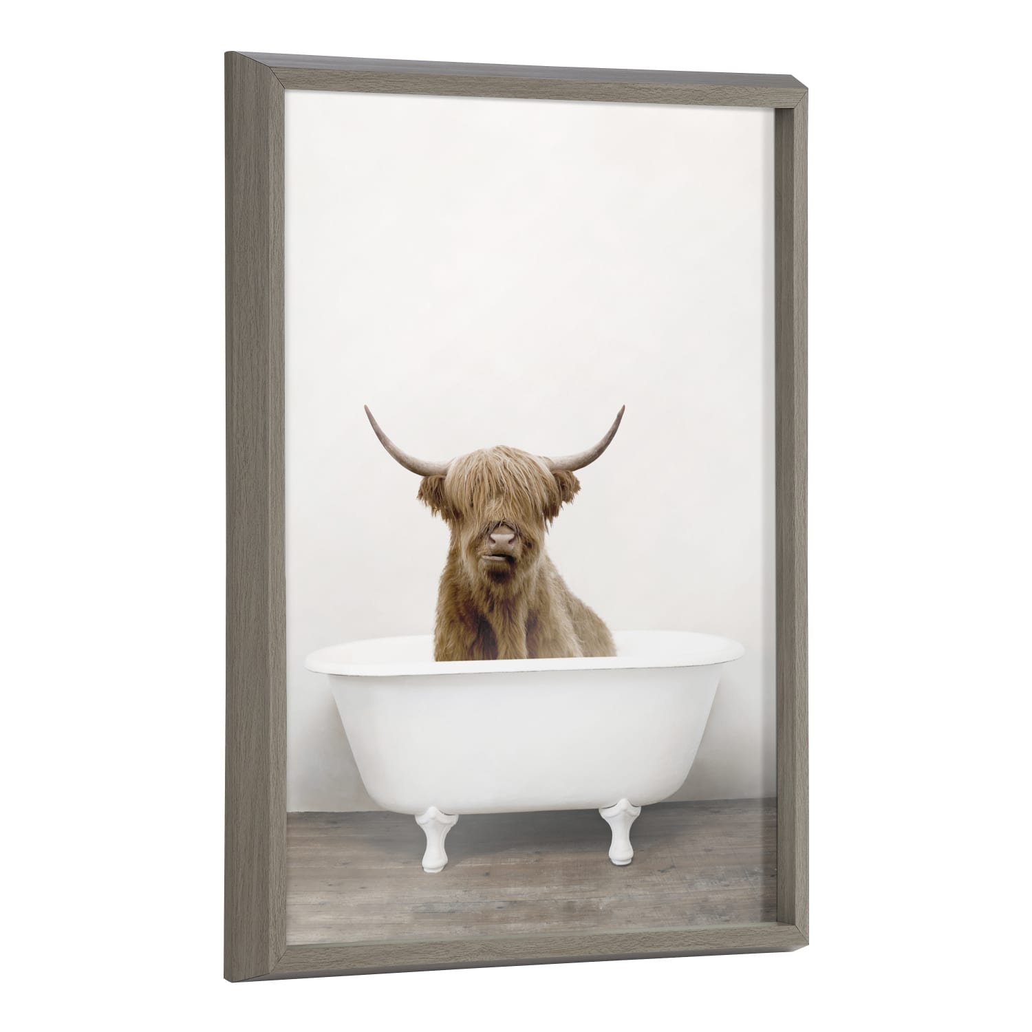 Highland Cow In Tub Color
