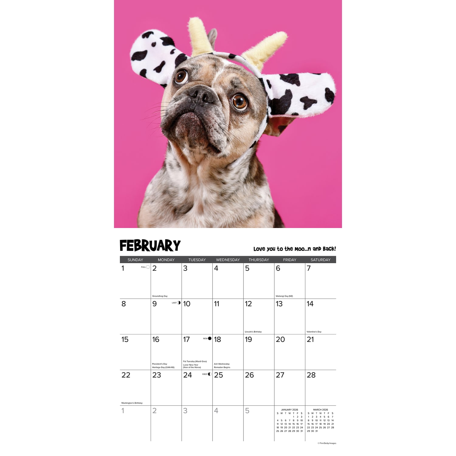 2026 Willow Creek Press Animals Monthly Wall Calendar, 12in x 12in, Pardon My Frenchie, January To December, 52310 - Image 3