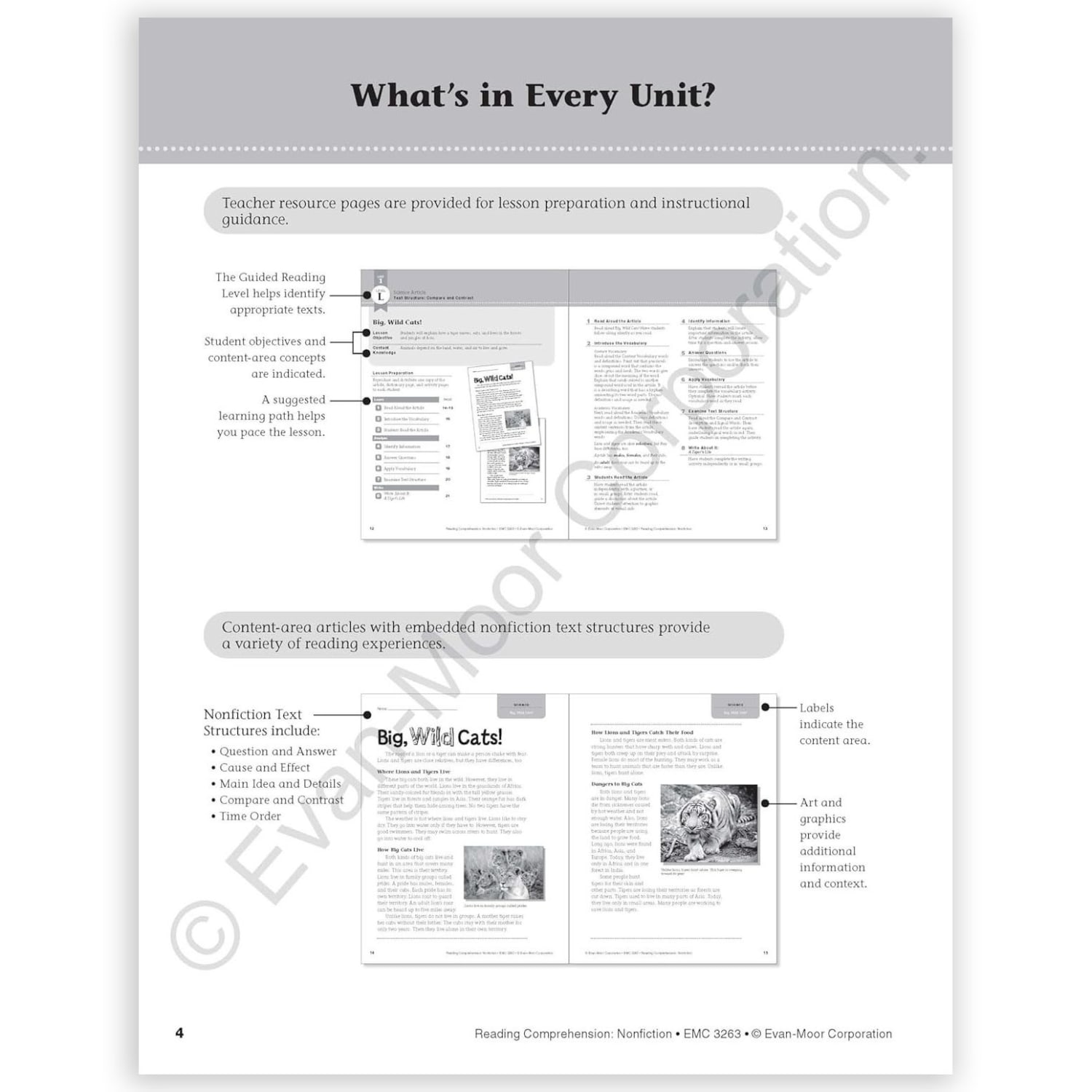 Evan-Moor Educational Publishers Reading Comprehension: Nonfiction, Grade 3 - Image 3