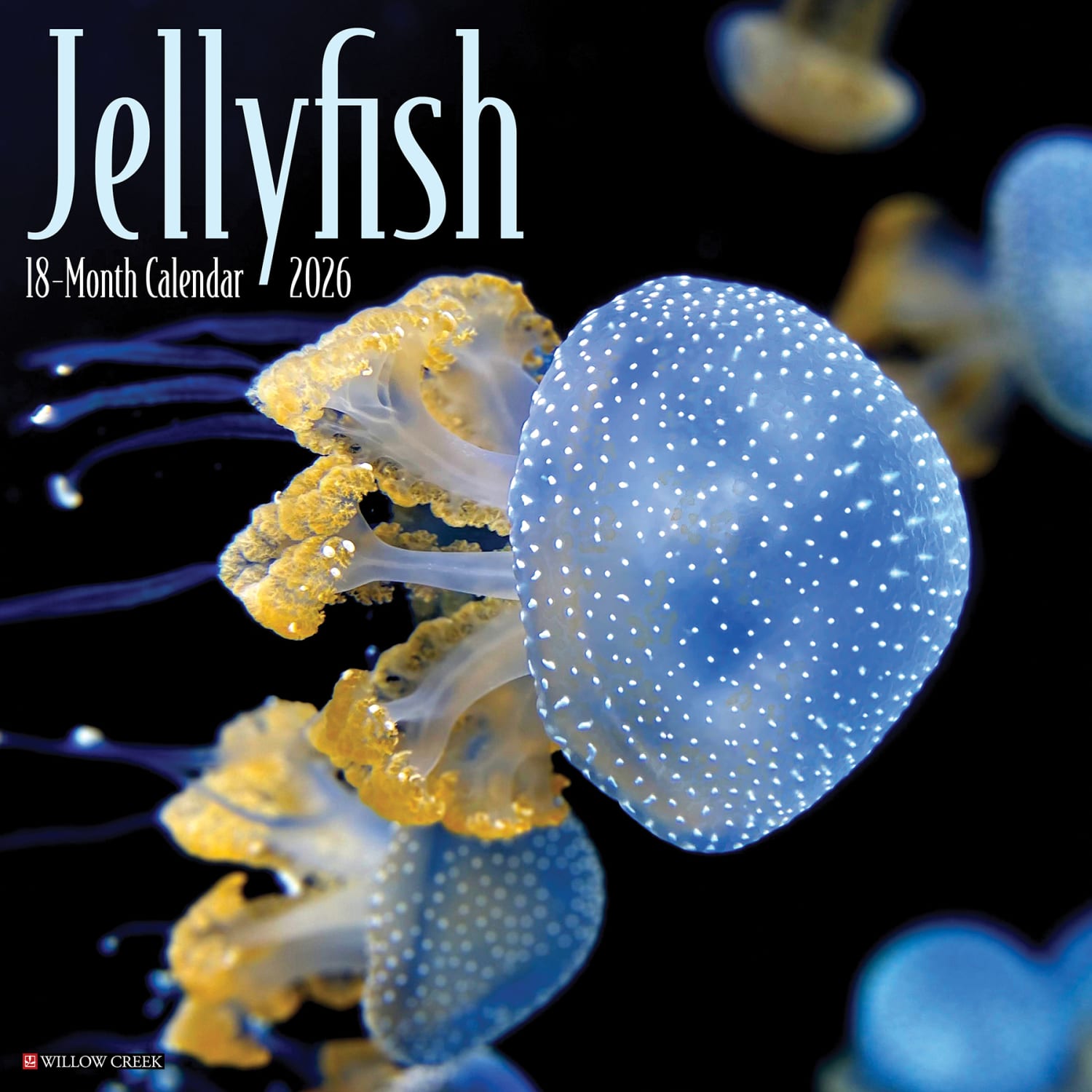 2026 Willow Creek Press Animals Monthly Wall Calendar, 12in x 12in, Jellyfish, January To December, 55892
