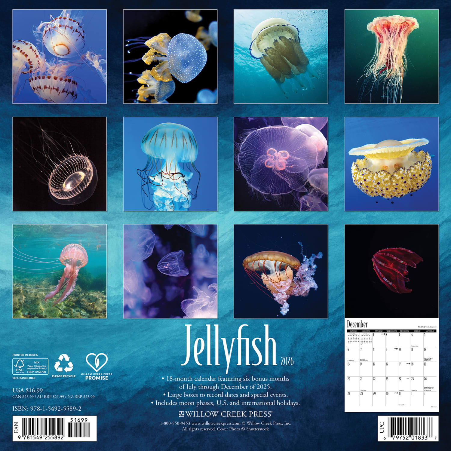 2026 Willow Creek Press Animals Monthly Wall Calendar, 12in x 12in, Jellyfish, January To December, 55892 - Image 6