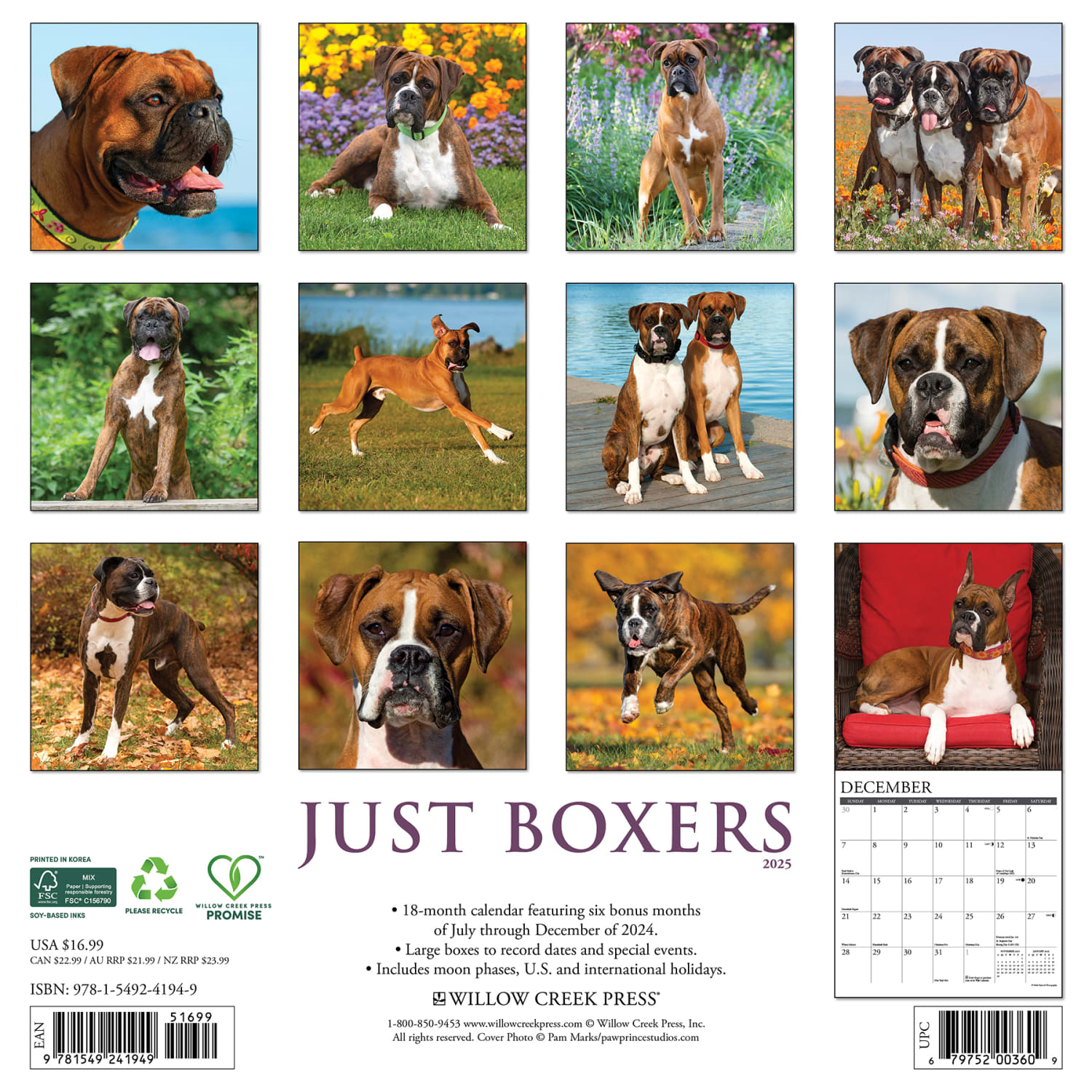 2025 Willow Creek Press Monthly Wall Calendar, 12in x 12in, Boxers, January 2025 to December 2025, 41949 - Image 6