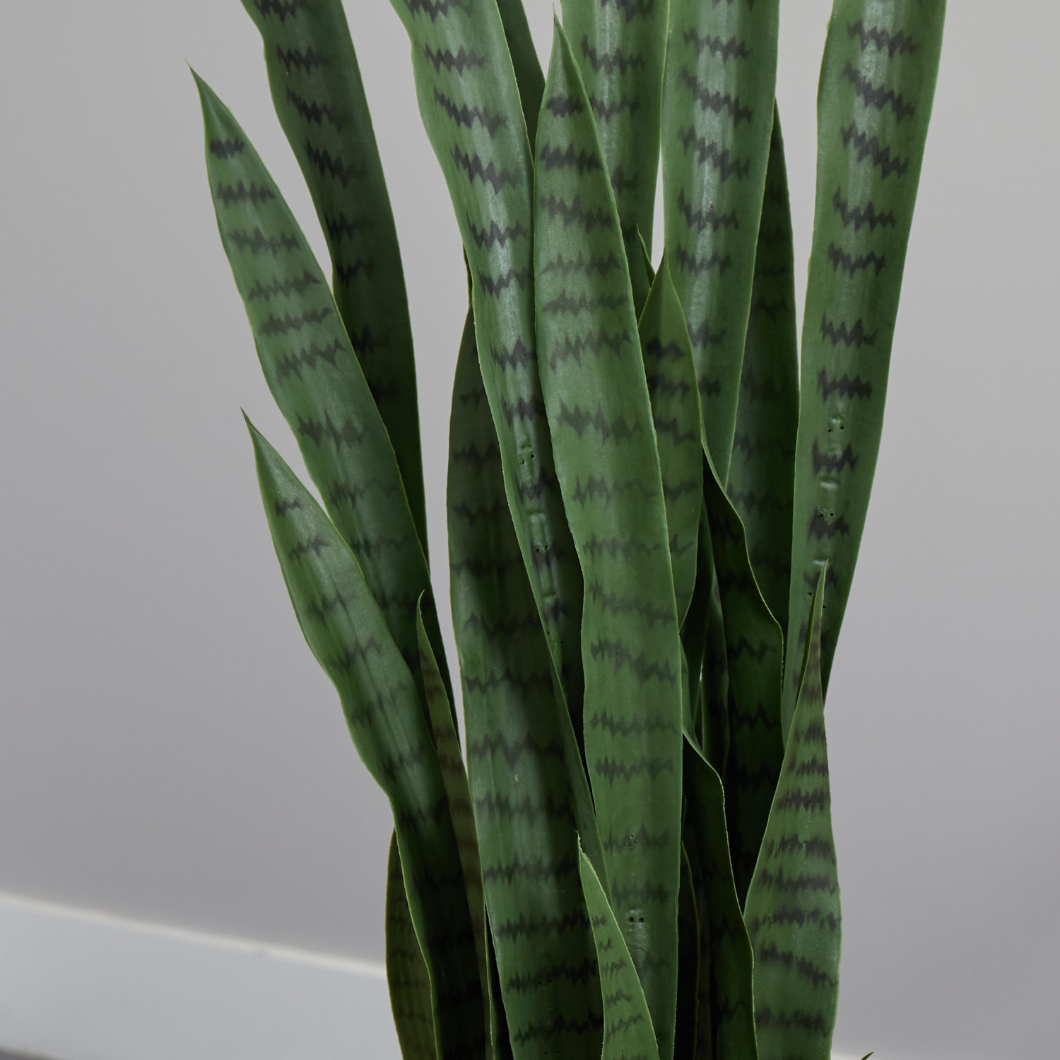 Nearly Natural Sansevieria 54inH Artificial Plant With Planter, 54inH x 11inW x 11inD, Green/Black - Image 5