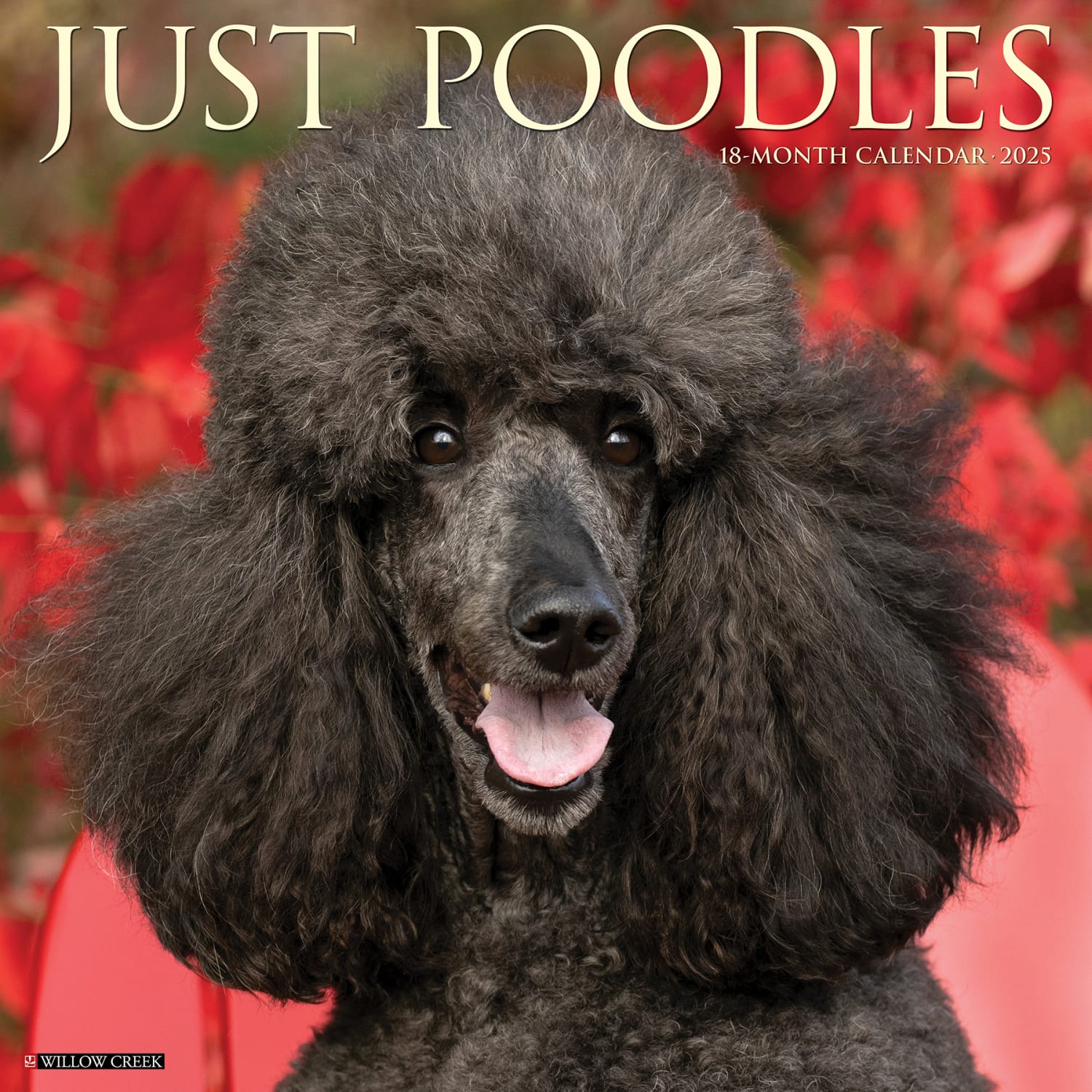 2025 Willow Creek Press Monthly Wall Calendar, 12in x 12in, Poodles, January 2025 to December 2025, 44520
