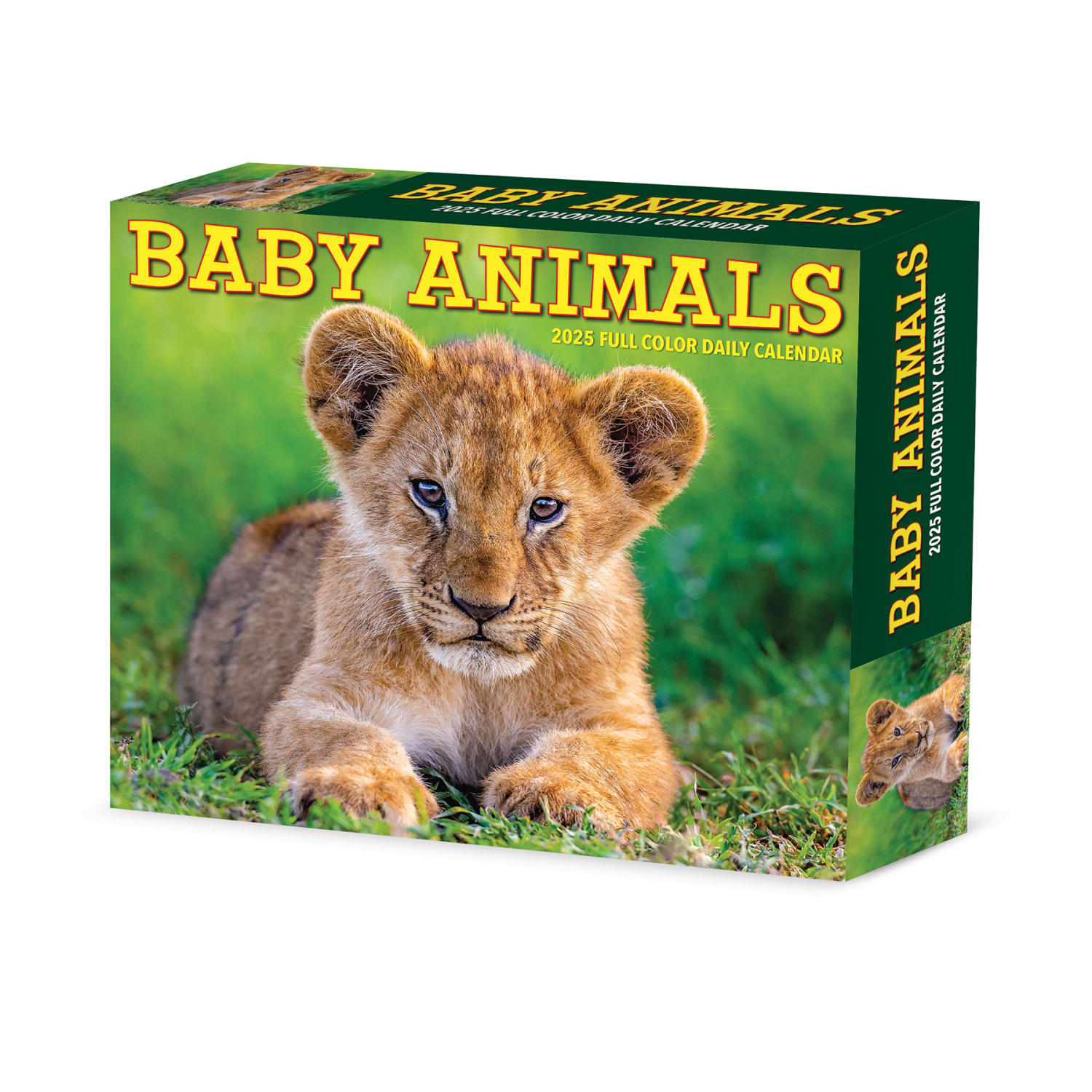 2025 Willow Creek Press Daily Desk Box Calendar, Animals, 5-1/2in x 6-1/4in, Baby Animals, January To December, 40607