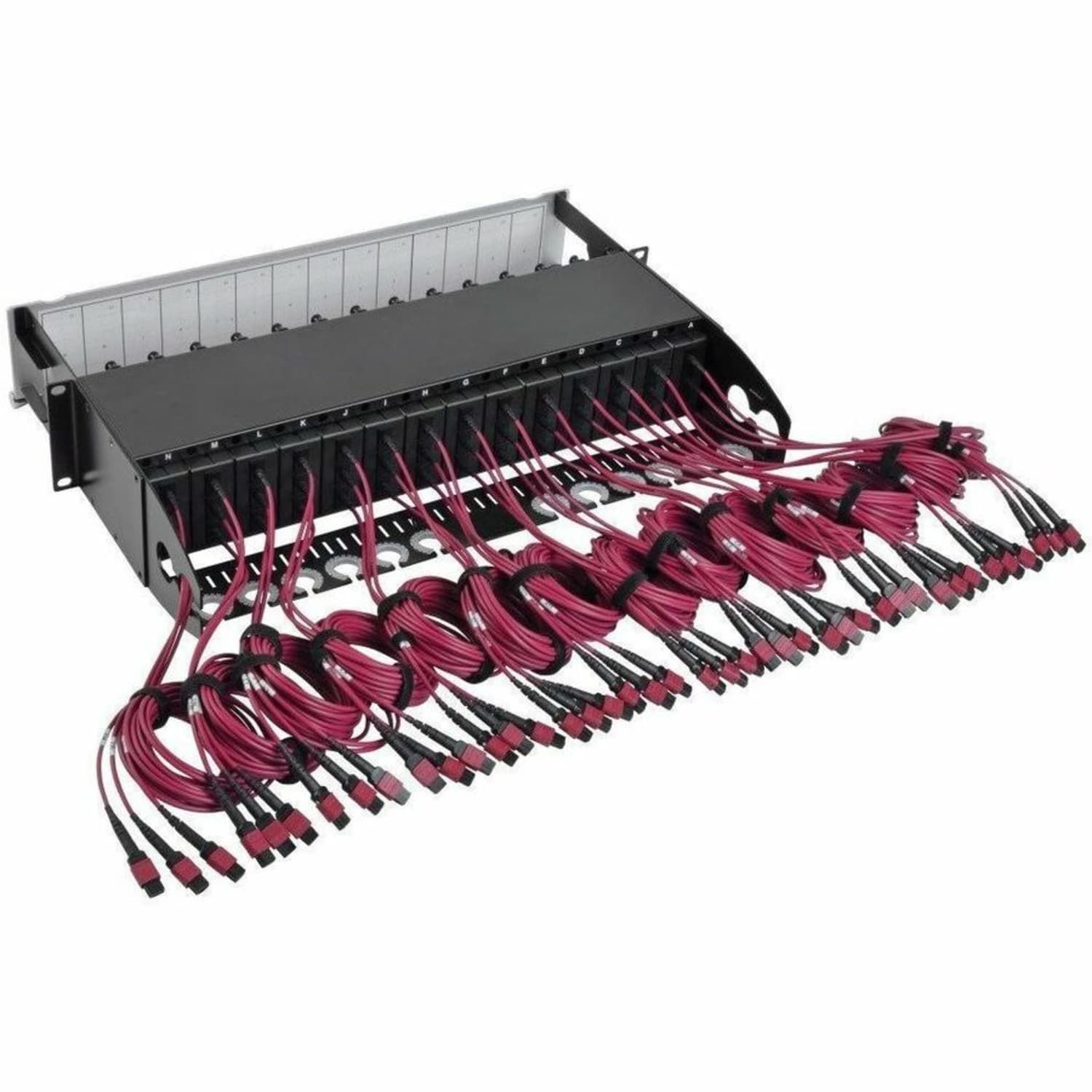 Eaton Tripp Lite Series 50/125 OM4 Pre-assembled 40GB-10GB Patch Panel 42 MTP QSFP-168LC - Patch panel - LC MM X 168 - black - 2U - 19in - 168 ports - Image 3