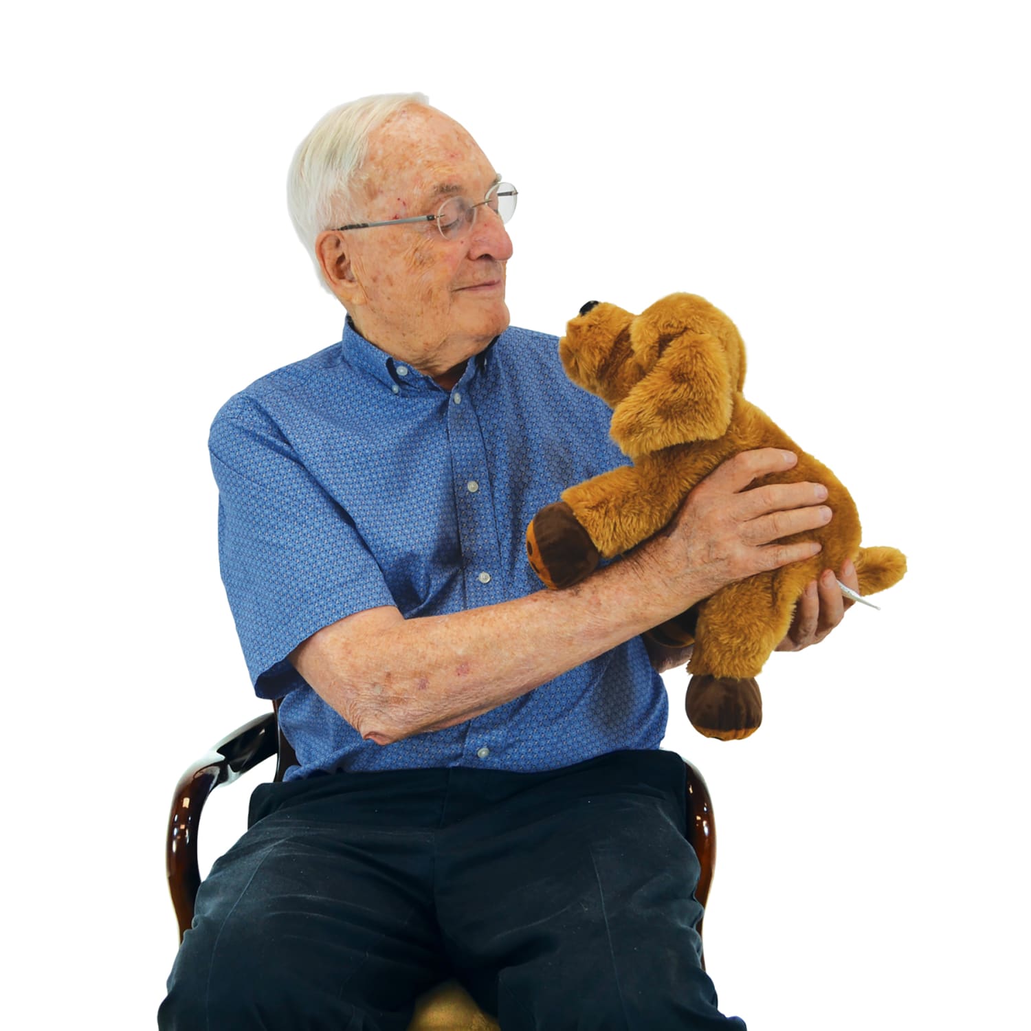 Roylco Theo the Therapy Dog, Brown - Image 6