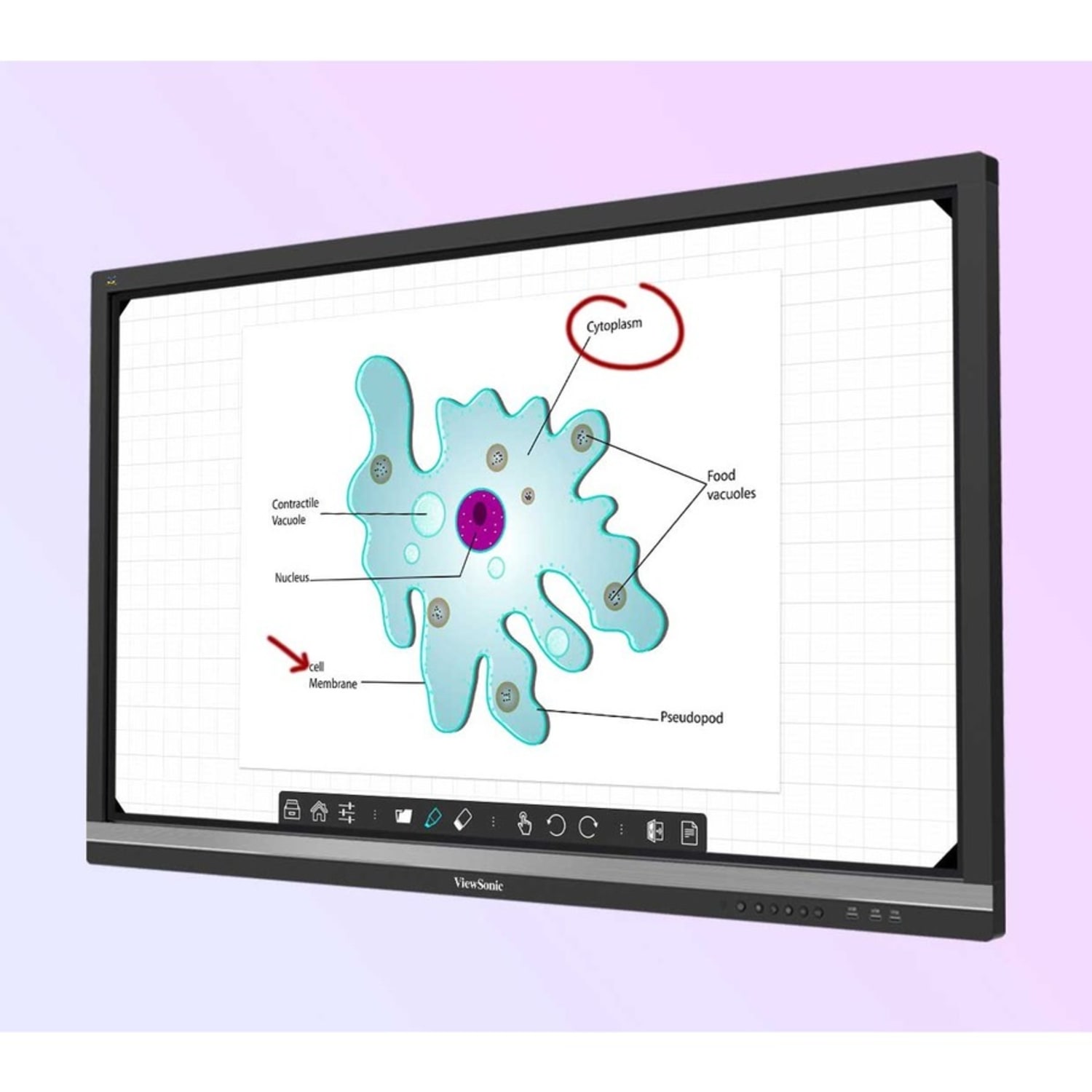 Viewsonic IFP7550-E2 - 75in ViewBoard 4K Ultra HD Interactive Flat Panel Bundle - 75in LCD - ARM Cortex A53 1.20 GHz - 2 GB - Infrared - Image 3