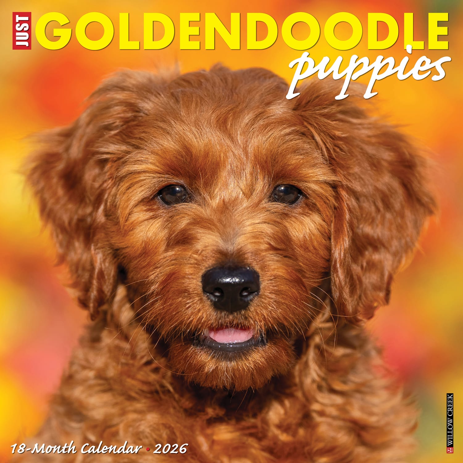 2026 Willow Creek Press Animals Monthly Wall Calendar, 12in x 12in, Goldendoodle Puppies, January To December, 51306 - Image 3