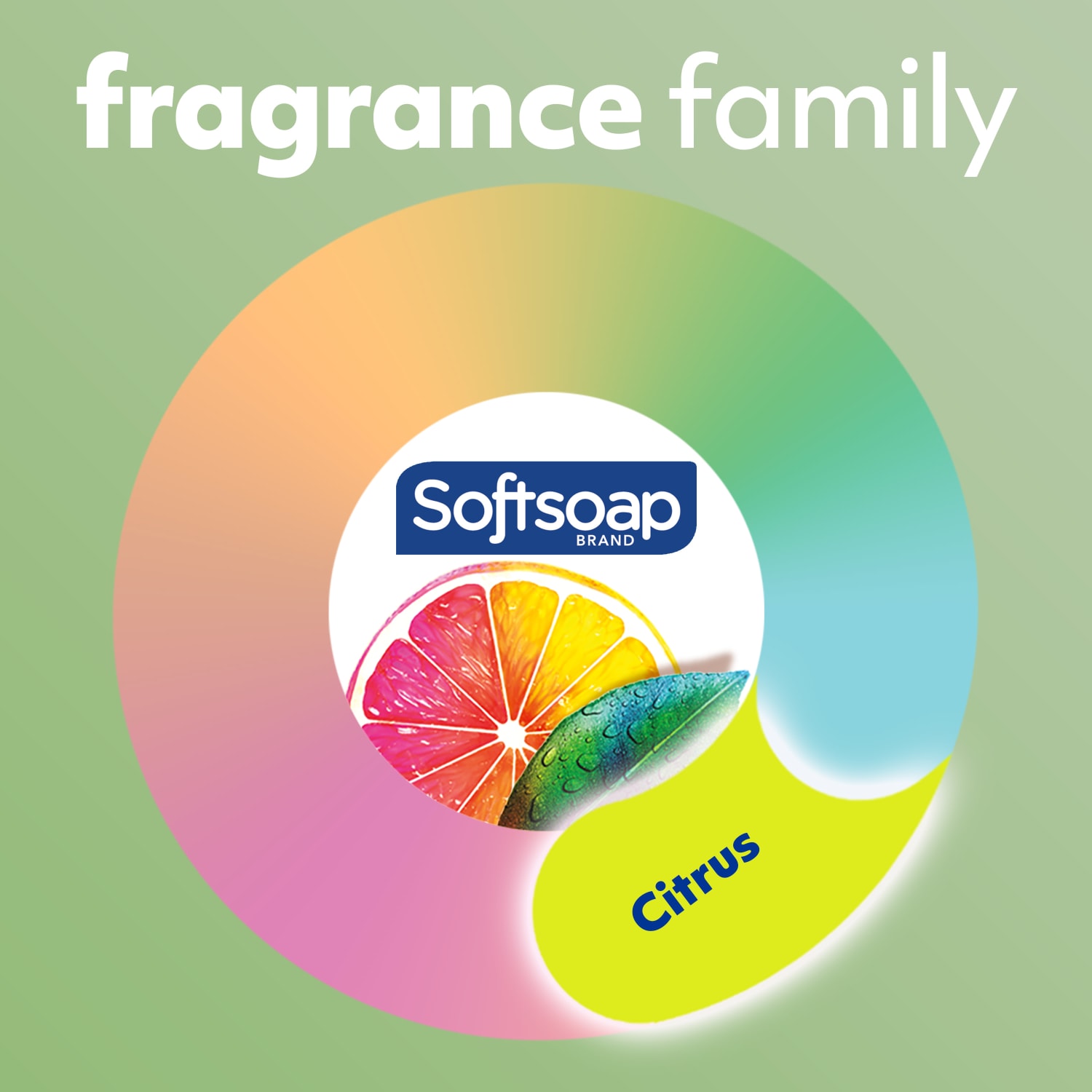 Softsoap Antibacterial Liquid Hand Soap, Fresh Citrus Scent, 50 fl oz Refill, 6ct - Image 4