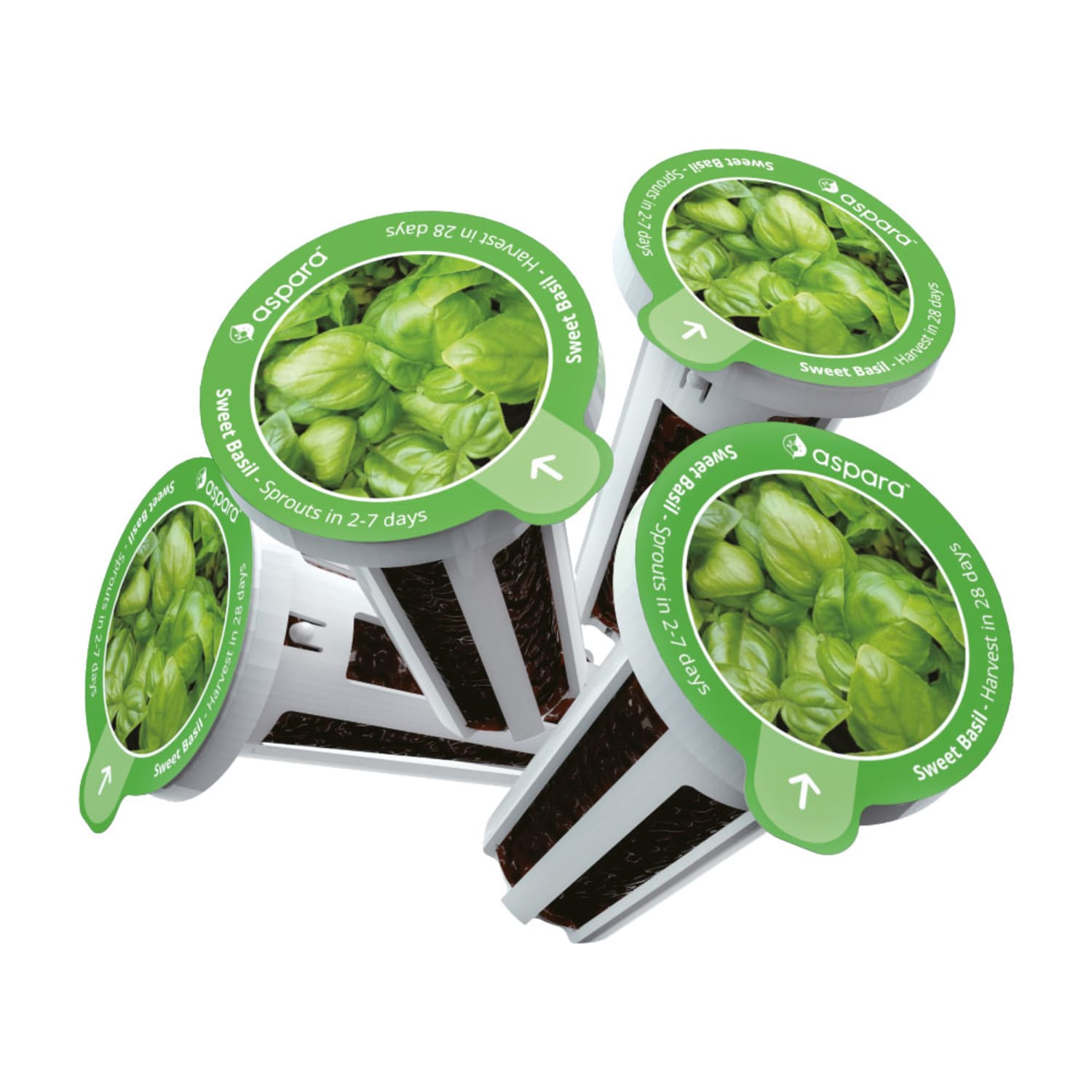 Aspara Sweet Basil Seed Kit, Kit Of 8 Capsules - Image 3