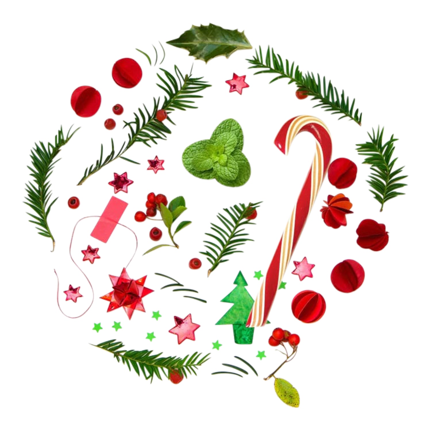 Hammonds Candies Organic Peppermint Candy Canes, 1.75 Oz, Pack Of 48 Candy Canes - Image 3