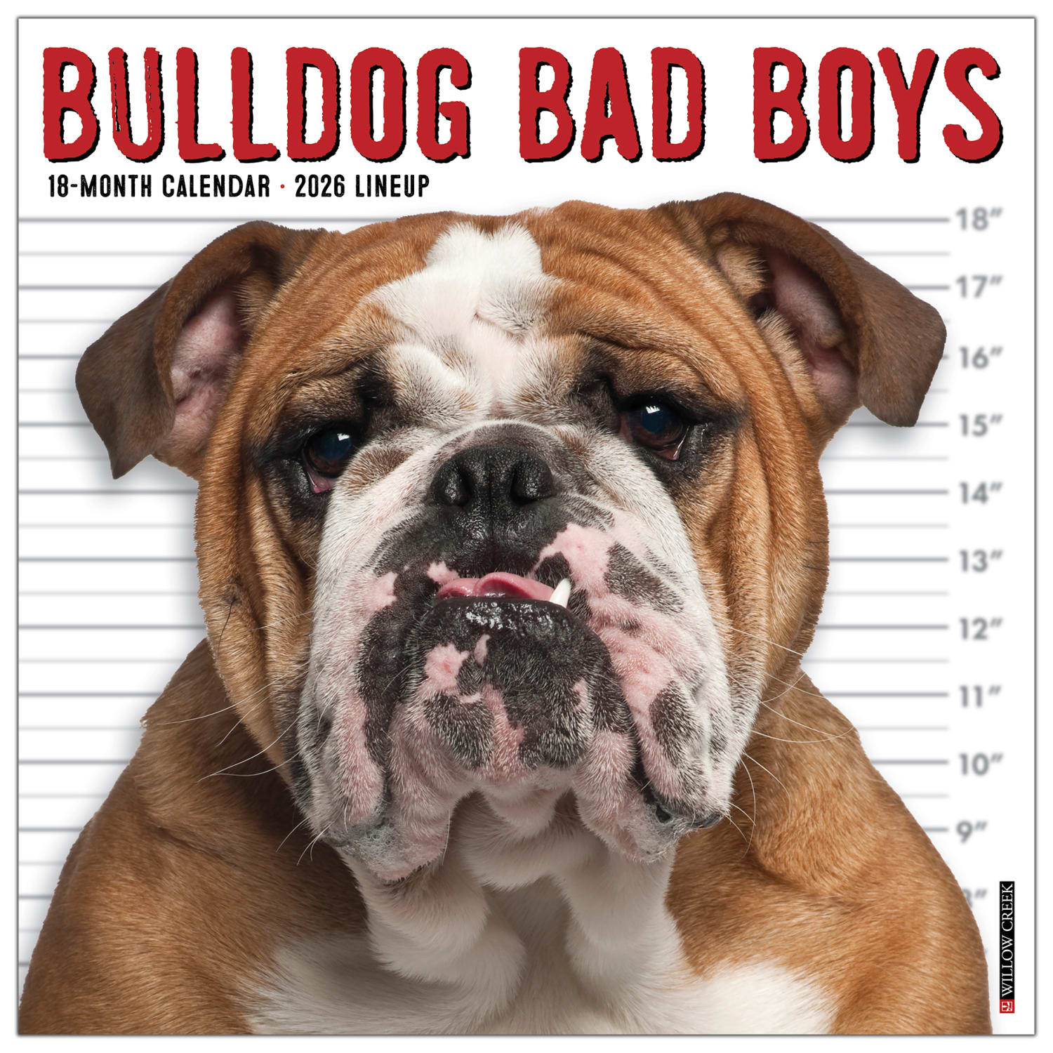 2026 Willow Creek Press Art & Design Monthly Wall Calendar, 12in x 12in, Bulldog Bad Boys, January To December, 50415 - Image 3