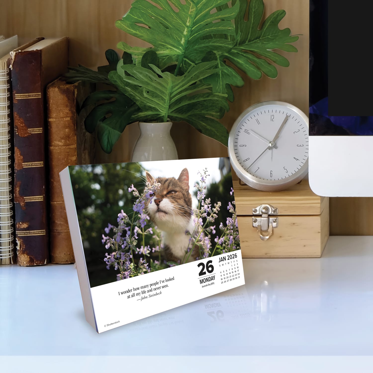 2026 Willow Creek Press Page-A-Day Daily Desk Calendar, 6-1/4in x 5-1/2in, What Cats Teach Us, January To December, 54505 - Image 3