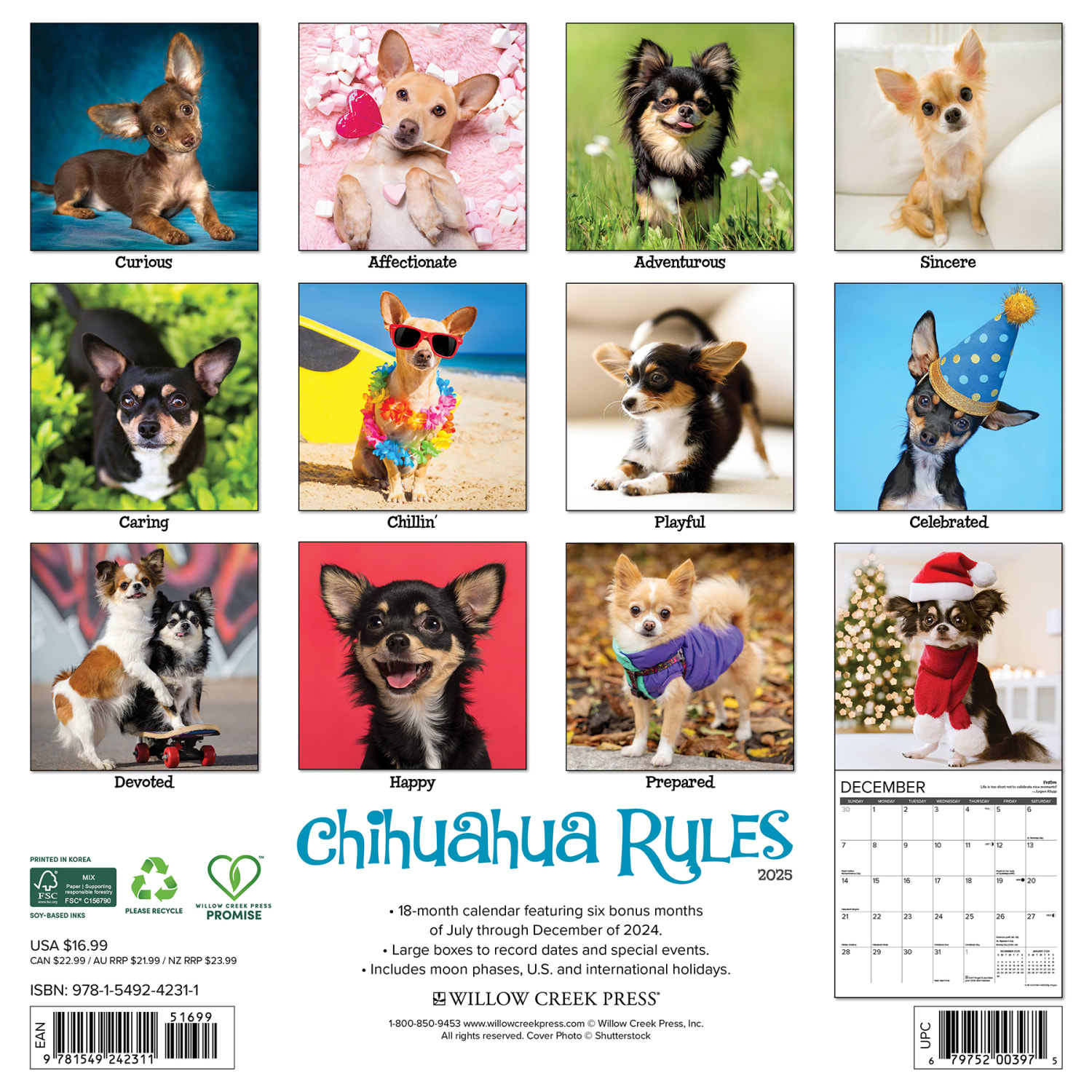 2025 Willow Creek Press Monthly Wall Calendar, 12in x 12in, Chihuahua Rules, January 2025 to December 2025, 42311 - Image 6