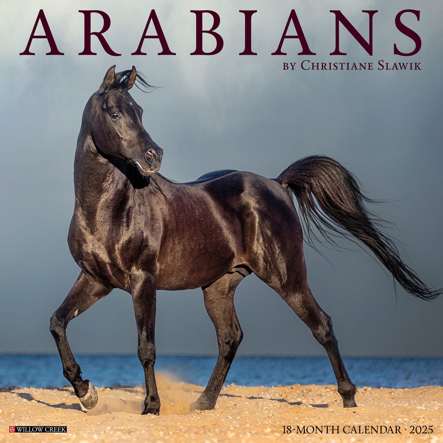 2025 Willow Creek Press Animals Wall Calendar, 12in x 12in, Arabians, January To December, 41413