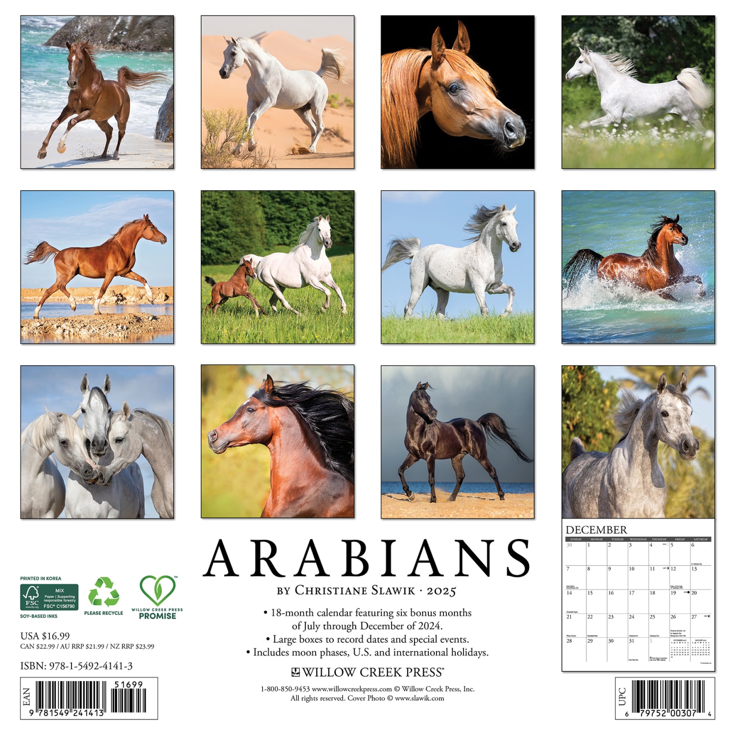 2025 Willow Creek Press Animals Wall Calendar, 12in x 12in, Arabians, January To December, 41413 - Image 6