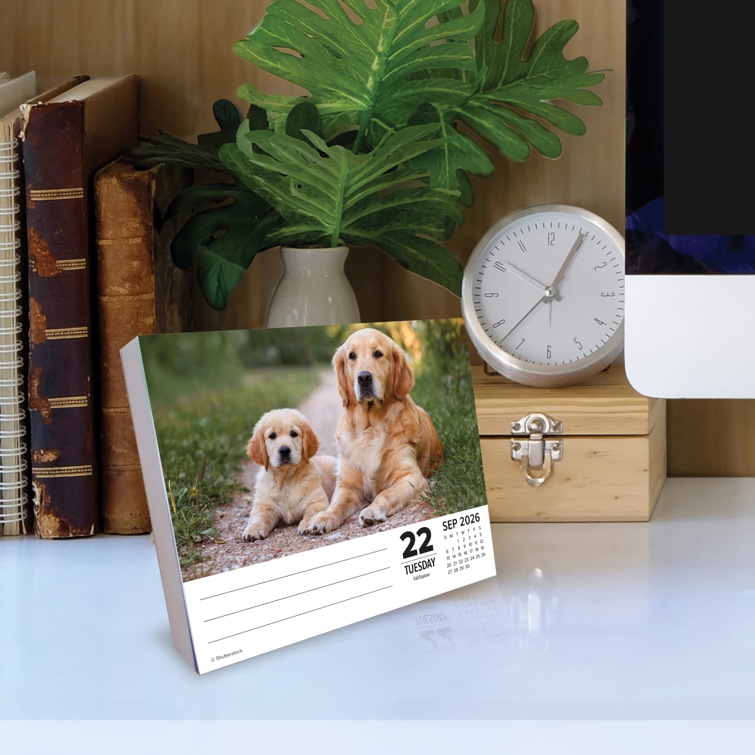 2026 Willow Creek Press Page-A-Day Daily Desk Calendar, 6-1/4in x 5-1/2in, Dogs, January To December, 54147 - Image 3