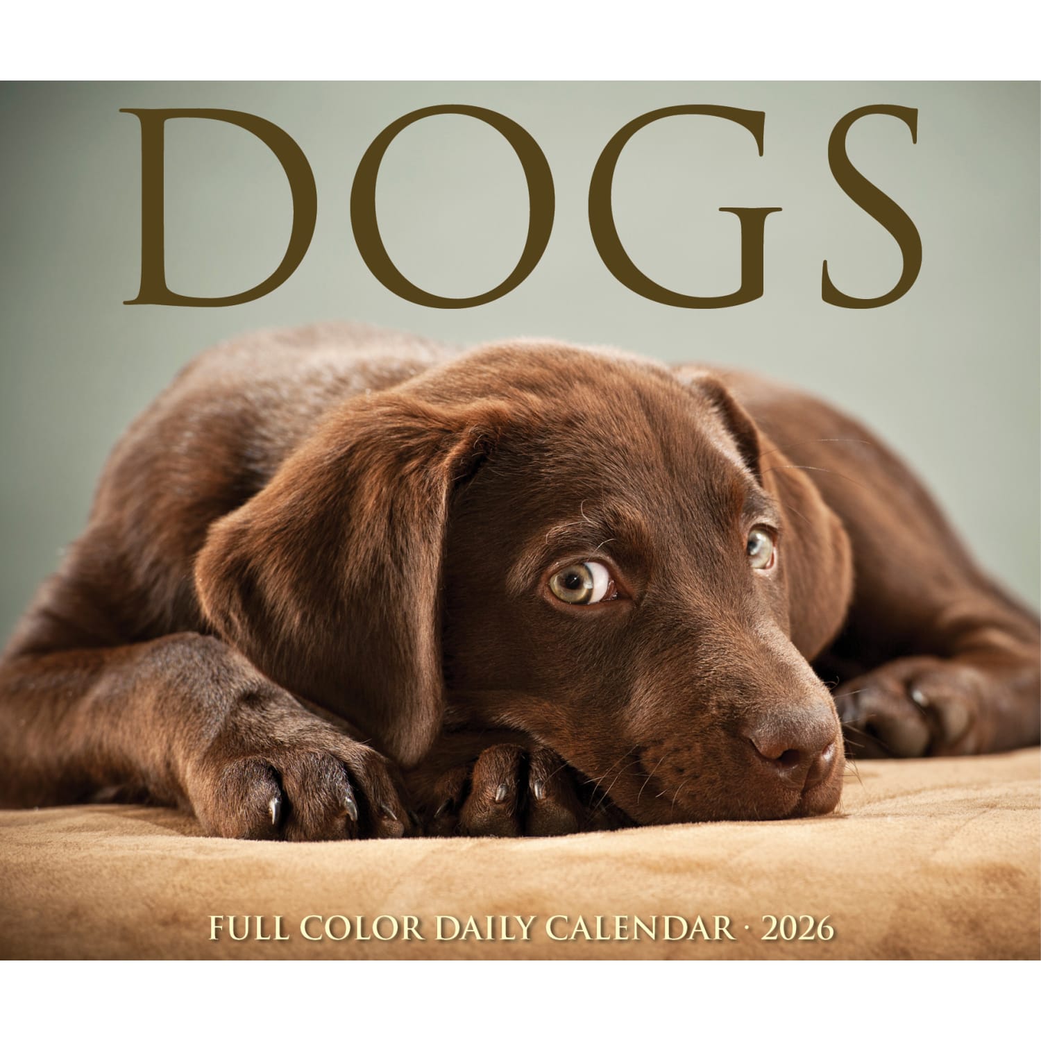 2026 Willow Creek Press Page-A-Day Daily Desk Calendar, 6-1/4in x 5-1/2in, Dogs, January To December, 54147 - Image 5