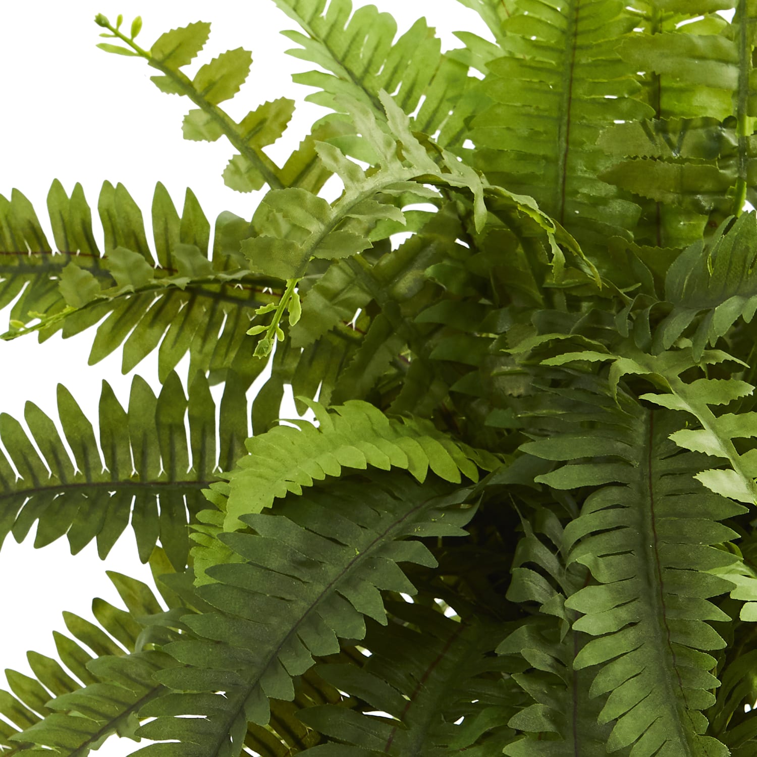 Nearly Natural 20inH Boston Fern Artificial Plant With Decorative Planter, 20inH x 14inW x 14inD, Brown/Green - Image 3