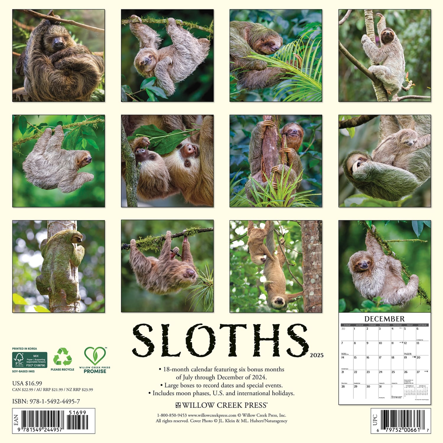 2025 Willow Creek Press Monthly Wall Calendar, 12in x 12in, Sloths, January 2025 to December 2025, 44957 - Image 6