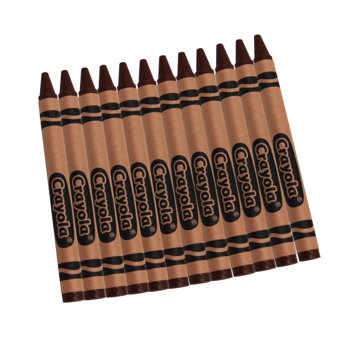 Crayola Bulk Crayons, Regular Size, Brown, 12 Per Box, Set Of 12 Boxes - Image 3