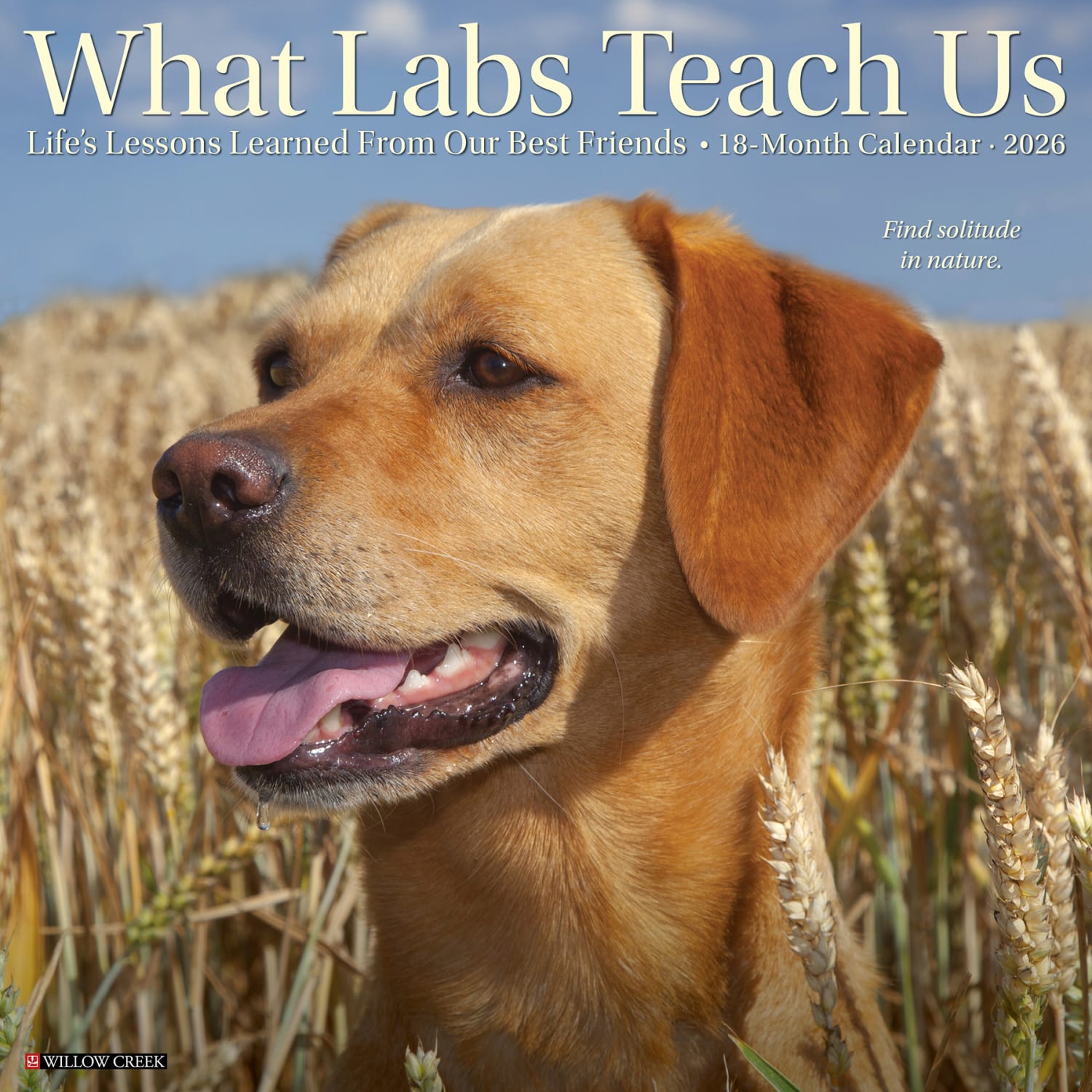 2026 Willow Creek Press Animals Monthly Wall Calendar, 12in x 12in, What Labs Teach Us, January To December, 53218 - Image 3
