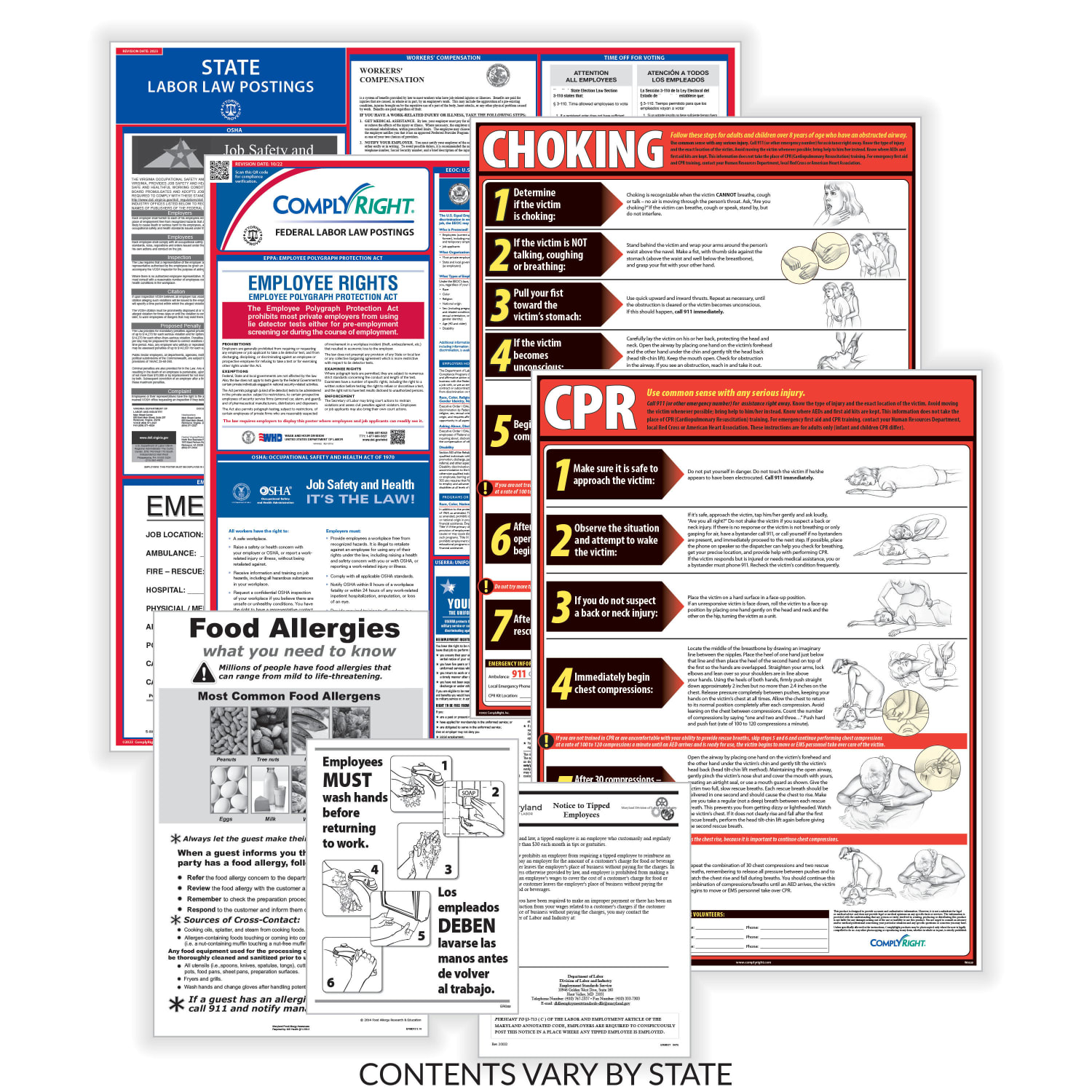 ComplyRight Restaurant Federal And State Labor Law Poster Set, English, Minnesota - Image 3