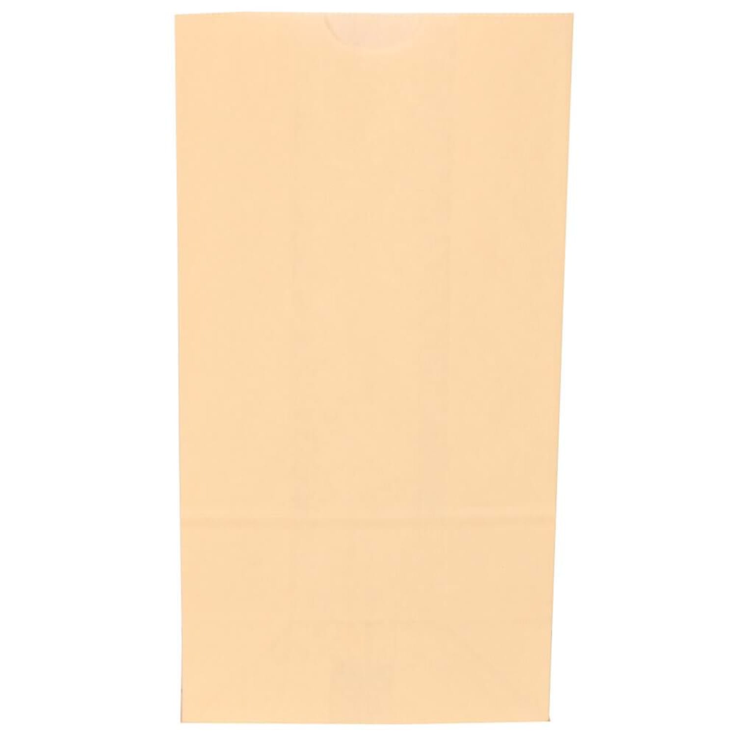 JAM Paper Medium Kraft Lunch Bags, 9-3/4inH x 5inW x 3inD, Ivory, Pack Of 500 Bags - Image 3