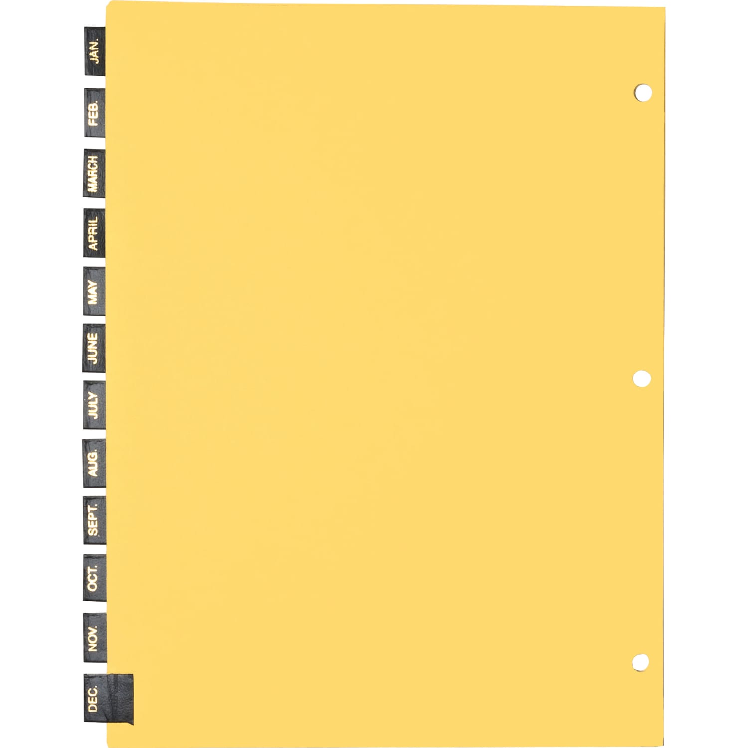 Sparco Leather Monthly Tab Indexes, 8-1/2in x 11in, Jan-Dec, Buff - Image 3
