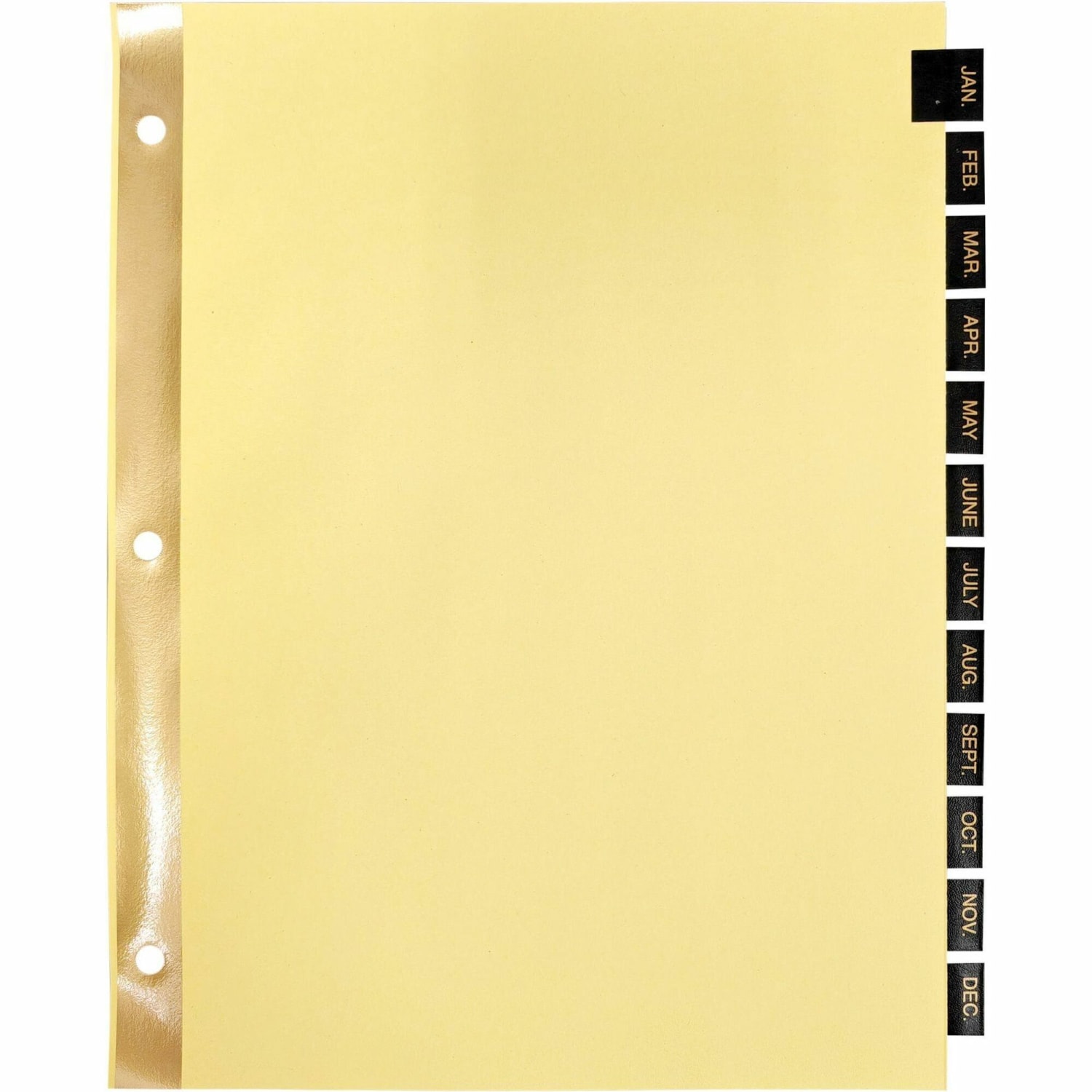 Sparco Leather Monthly Tab Indexes, 8-1/2in x 11in, Jan-Dec, Buff - Image 4