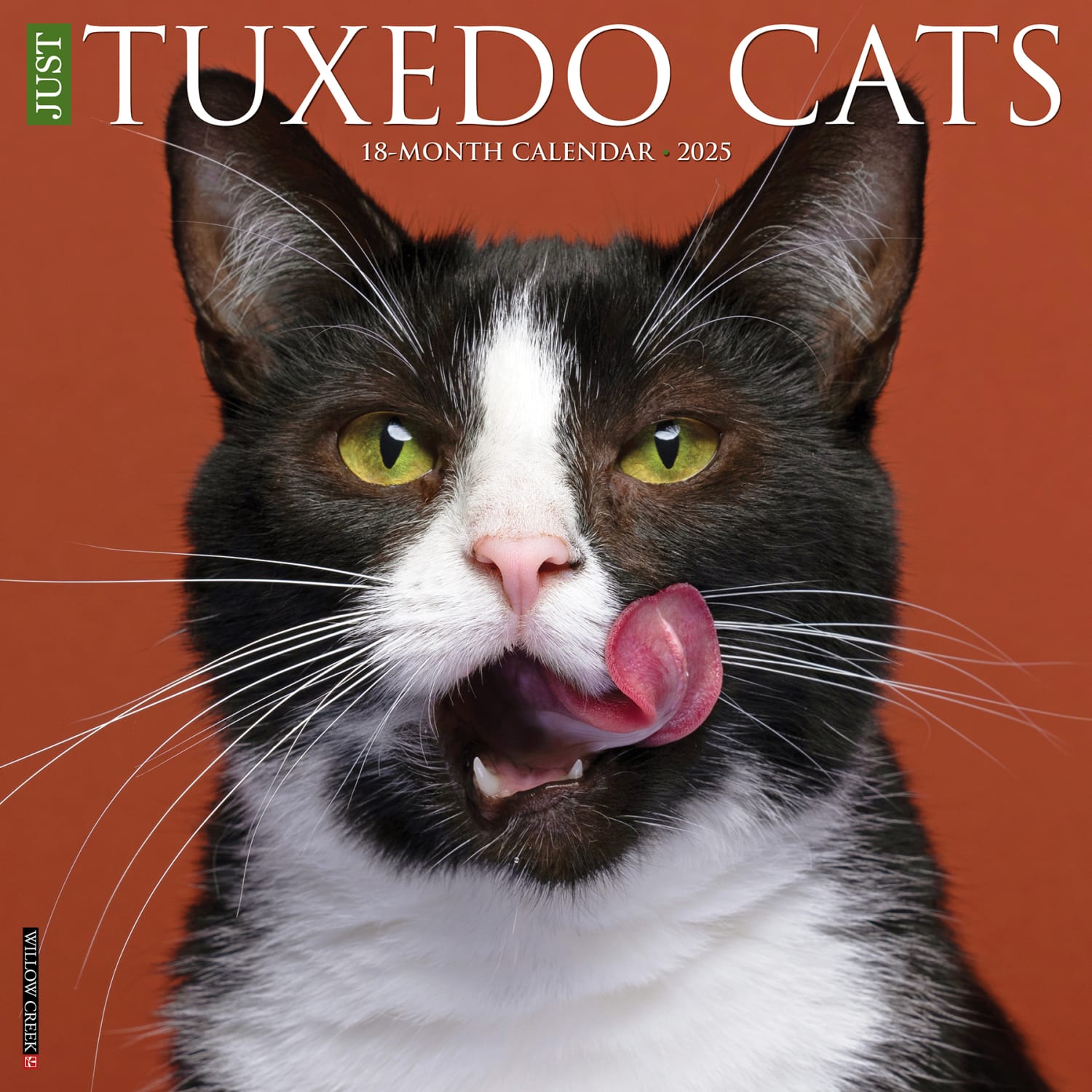 2025 Willow Creek Press Monthly Wall Calendar, 12in x 12in, Tuxedo Cats, January 2025 to December 2025, 45190