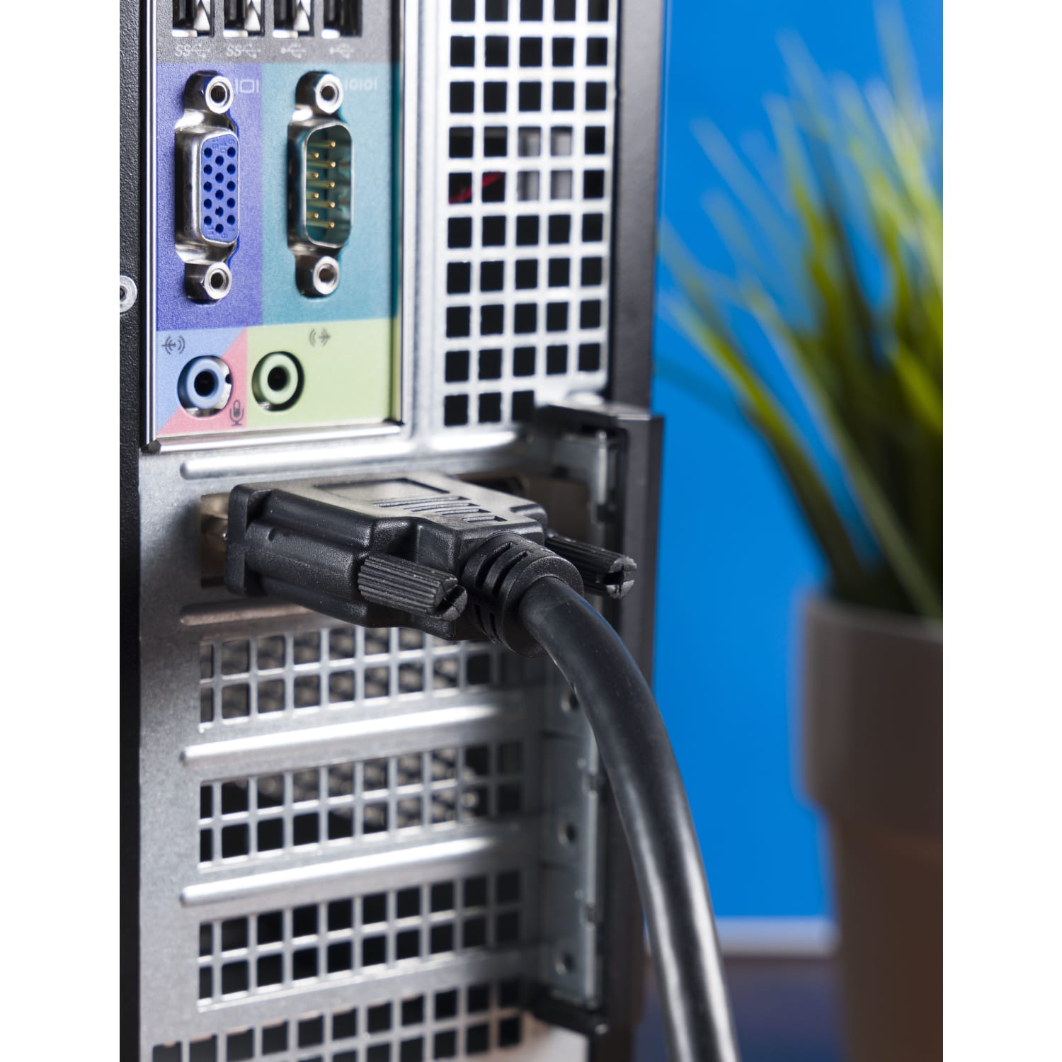 Ativa DVI Dual-Link Monitor Cable, 10ft - Image 4