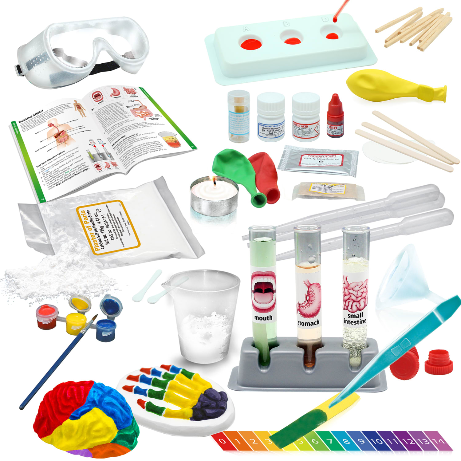 WILD ENVIRONMENTAL SCIENCE Medical Science 24-Piece STEM Kit, Multicolor, Grades 3 To 12 - Image 3