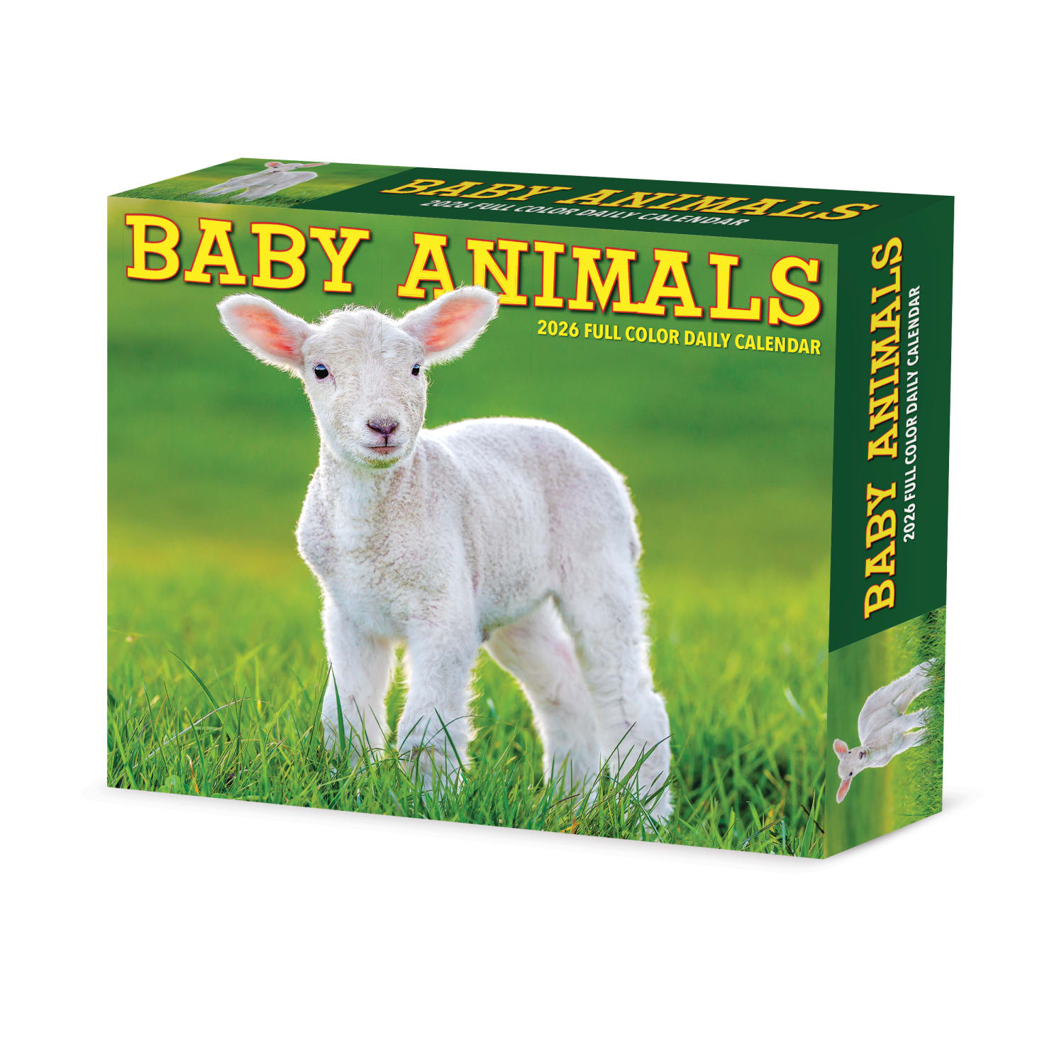 2026 Willow Creek Press Page-A-Day Daily Desk Calendar, 6-1/4in x 5-1/2in, Baby Animals, January To December, 53928 - Image 3