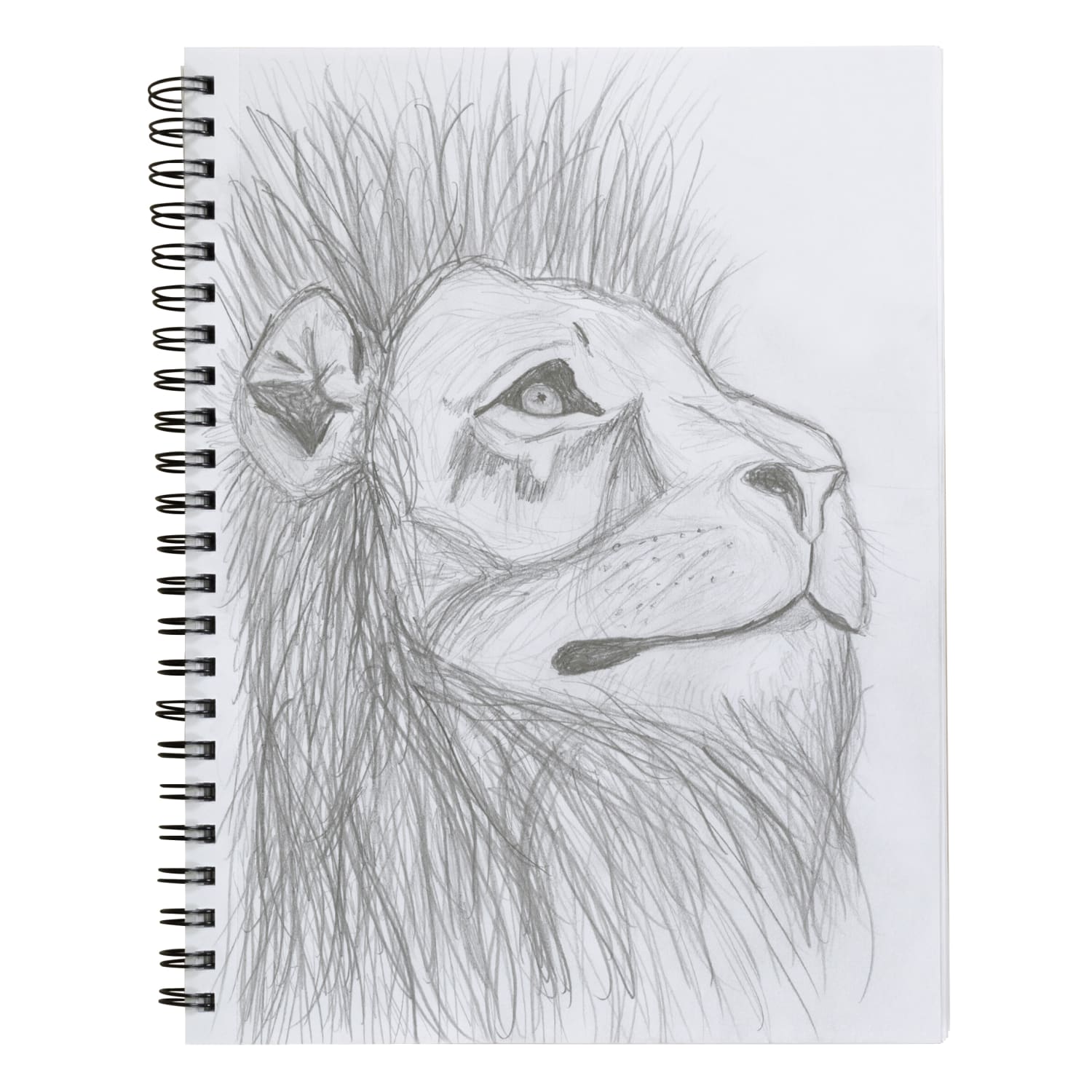 Pacon UCreate Poly Cover Sketch Books, 12in x 9in, 75 Sheets, Black, Pack Of 3 Books - Image 5