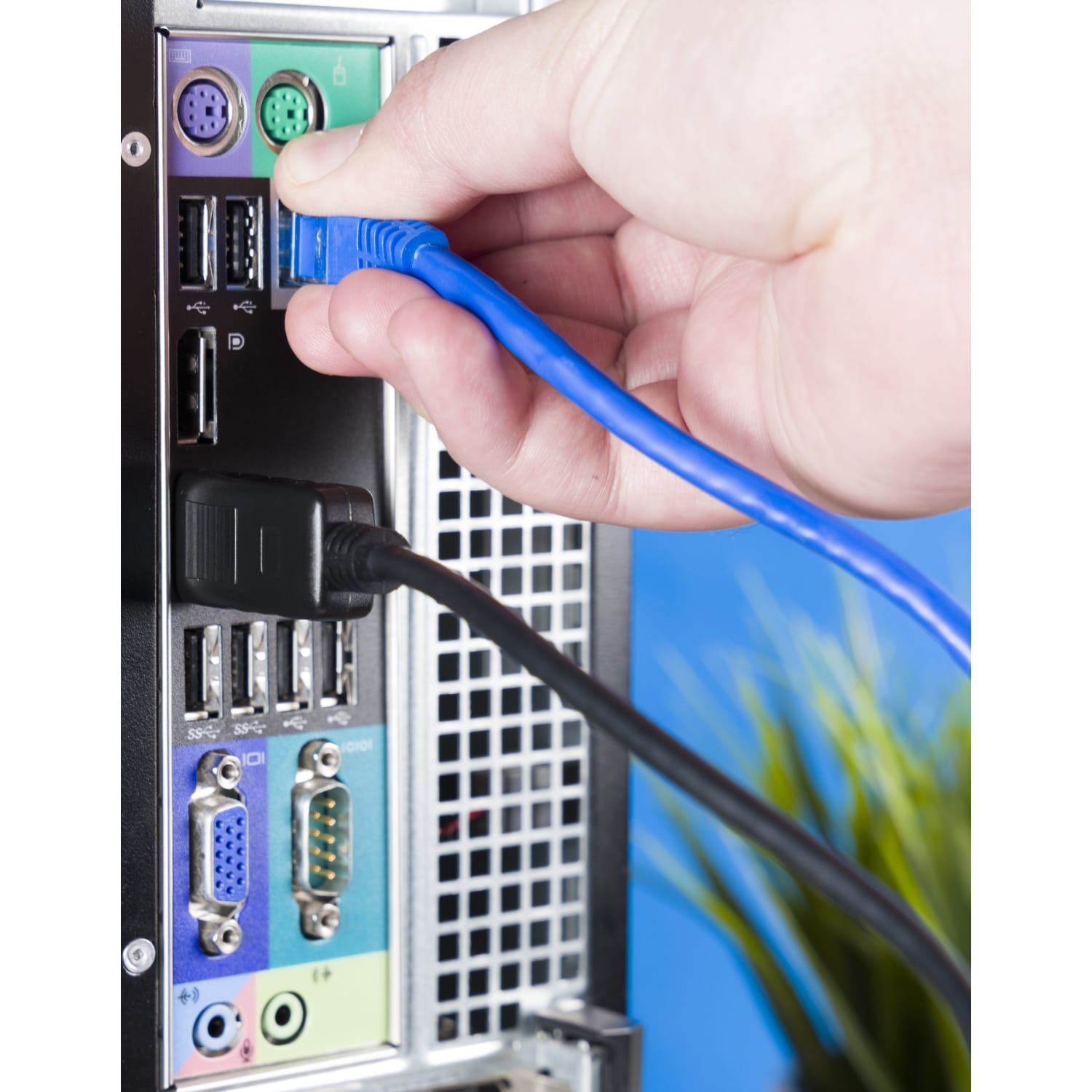 Ativa Cat 6 Network Cable, 100ft, Blue - Image 4