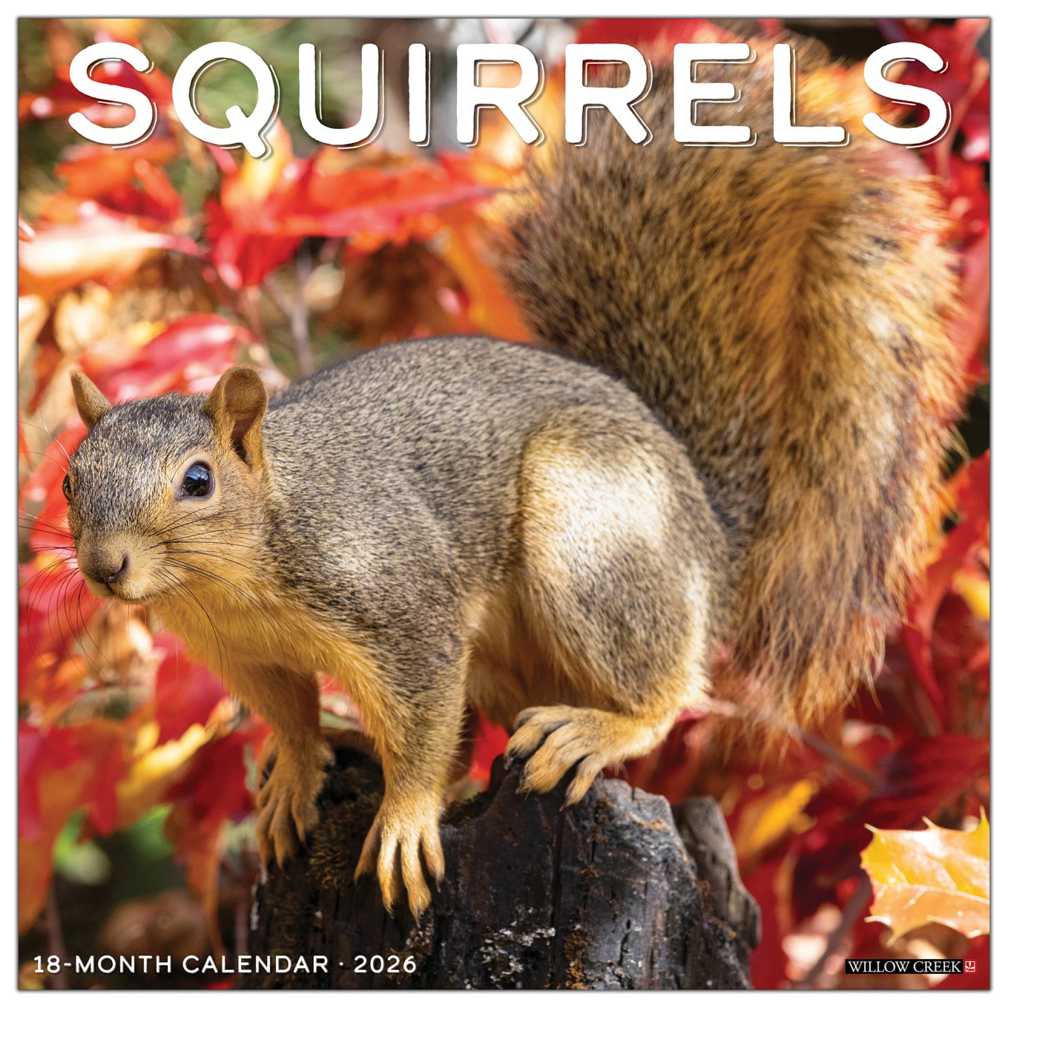 2026 Willow Creek Press Animals Monthly Wall Calendar, 12in x 12in, Squirrels, January To December, 52891