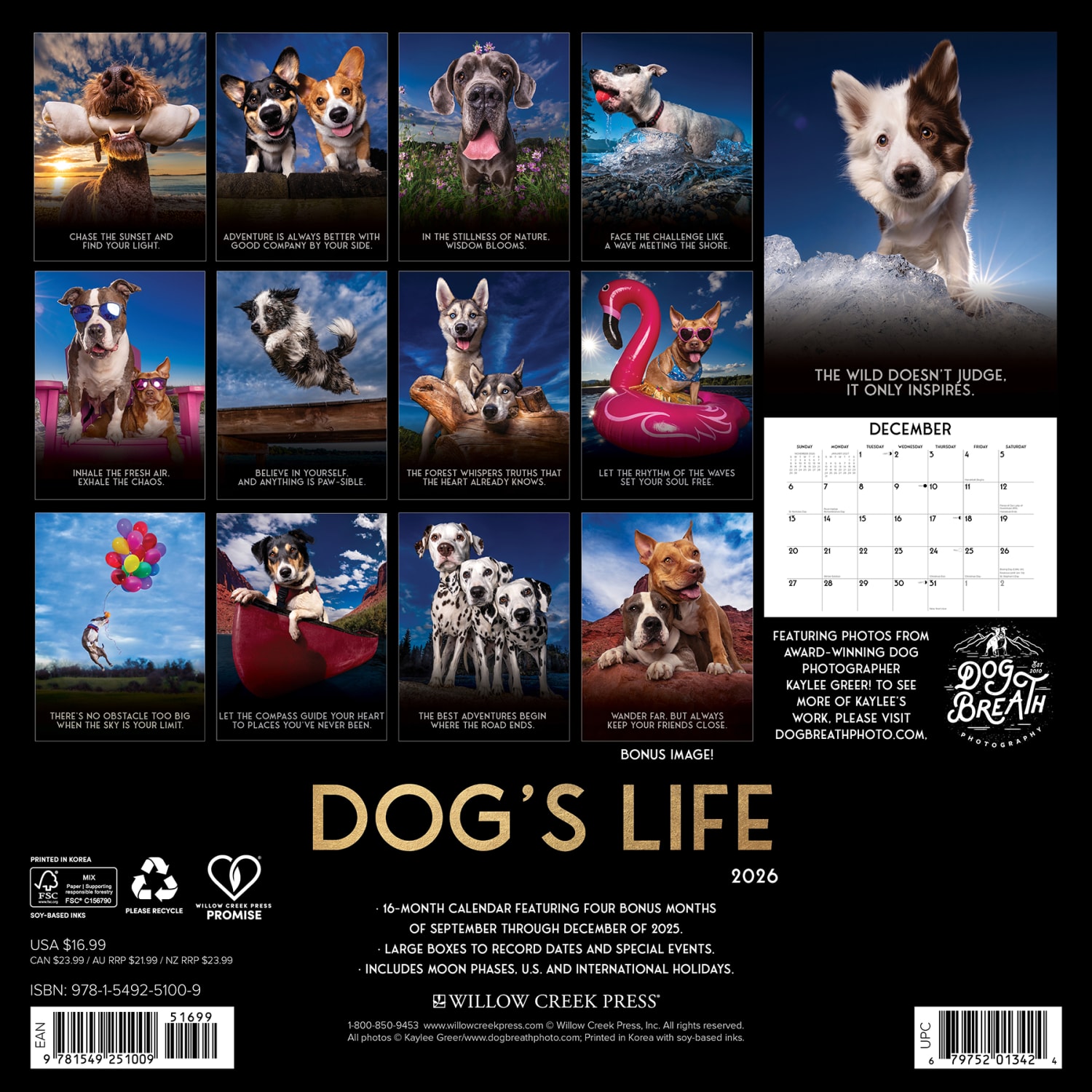 2026 Willow Creek Press Animals Monthly Wall Calendar, 12in x 12in, Dogs Life, January To December, 51009 - Image 6