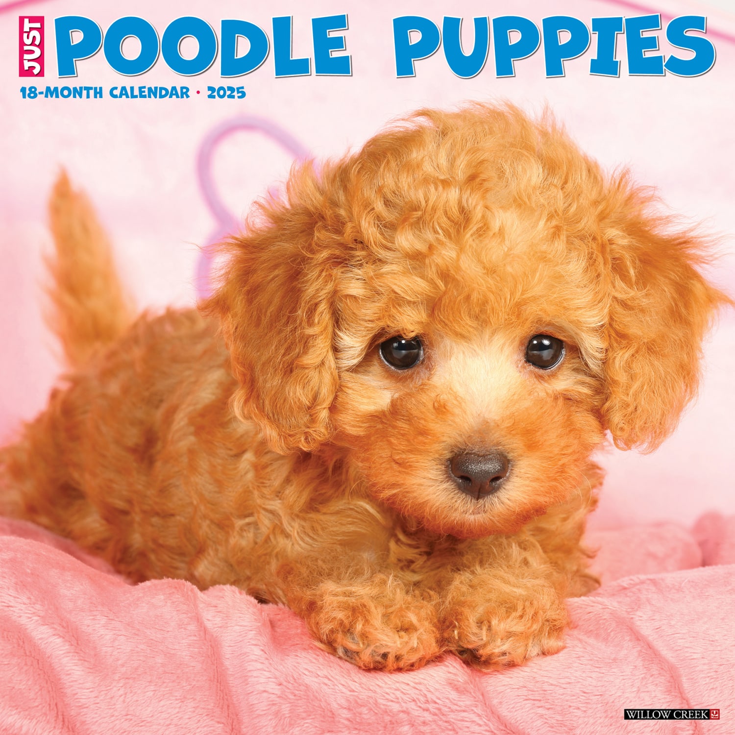 2025 Willow Creek Press Monthly Wall Calendar, 12in x 12in, Poodle Puppies, January 2025 to December 2025, 44513